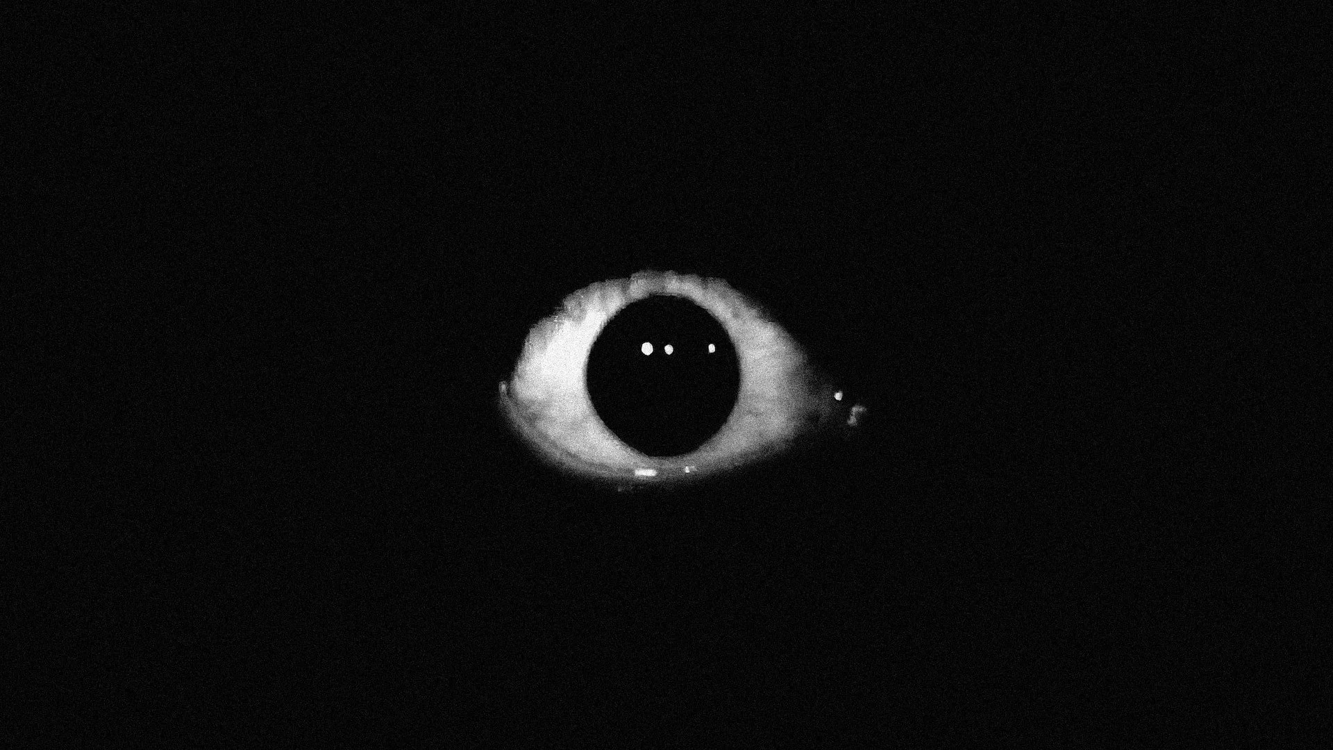 Visual Sound: December 2025