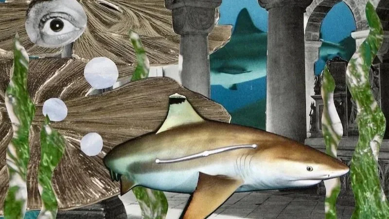 Songs To Sing At The Funeral Of A Shark