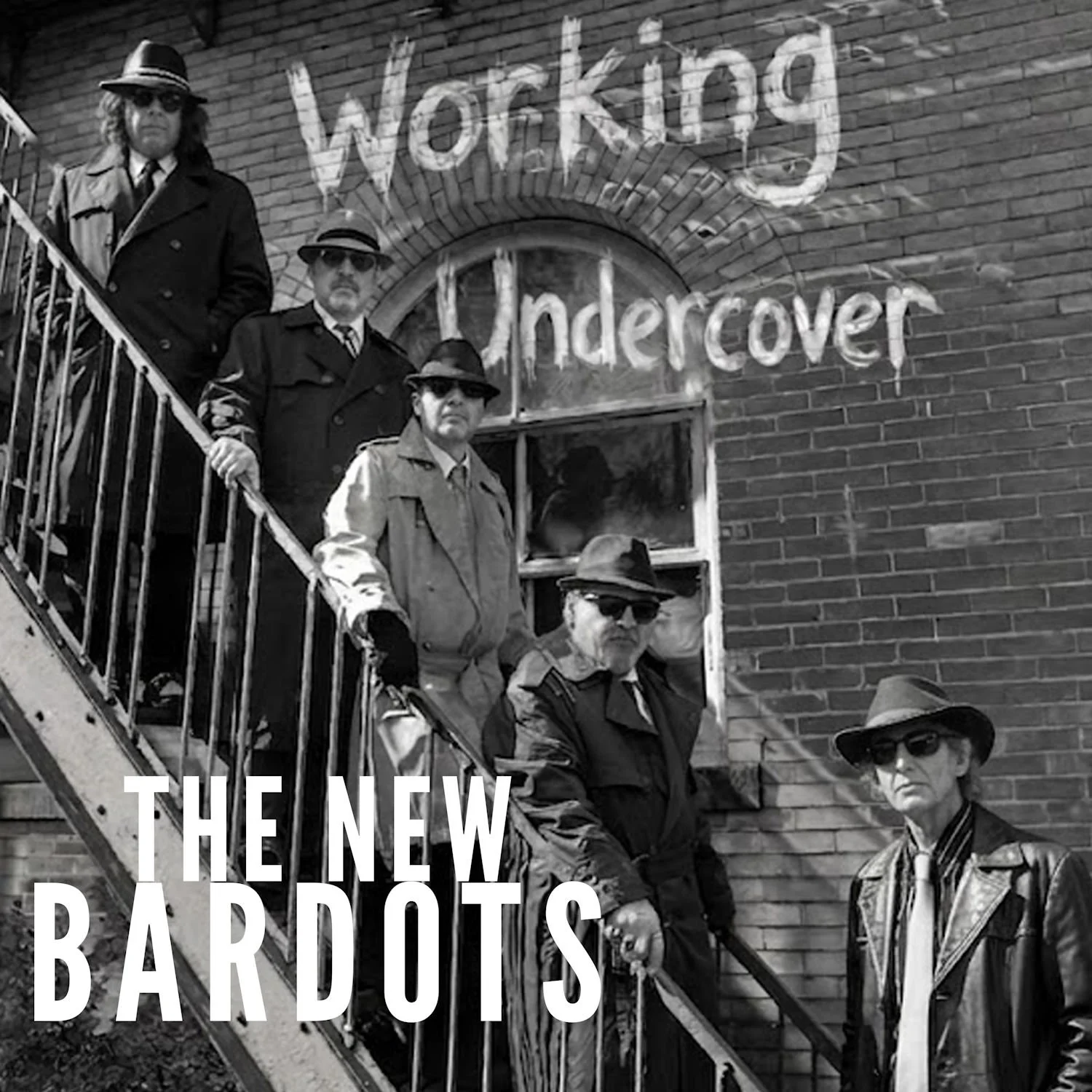The-New-Bardots