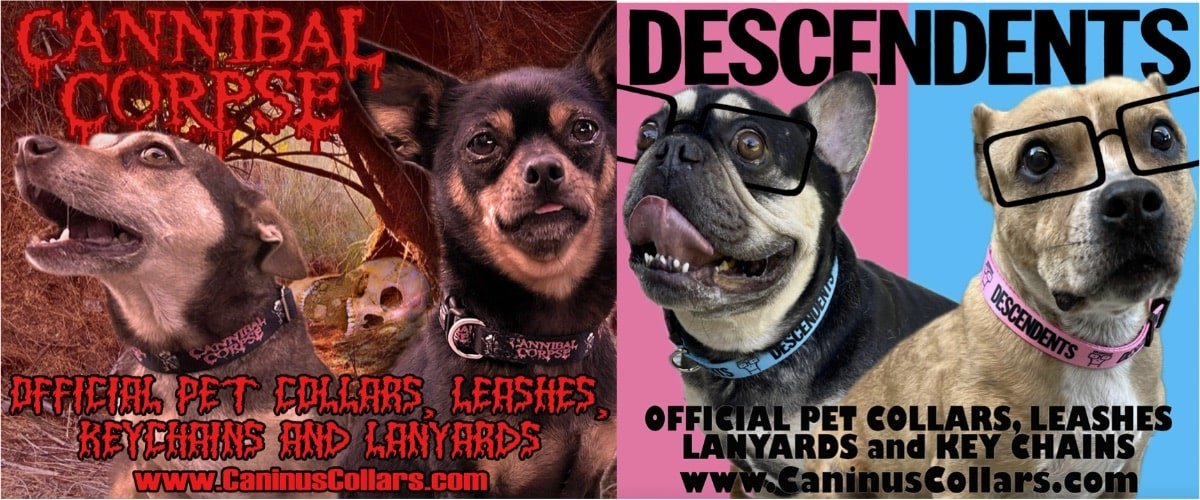 Heavy metal dog clearance collars