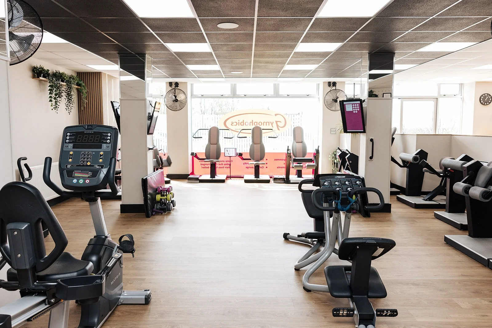 A clean, modern gym space with women using strength training equipment