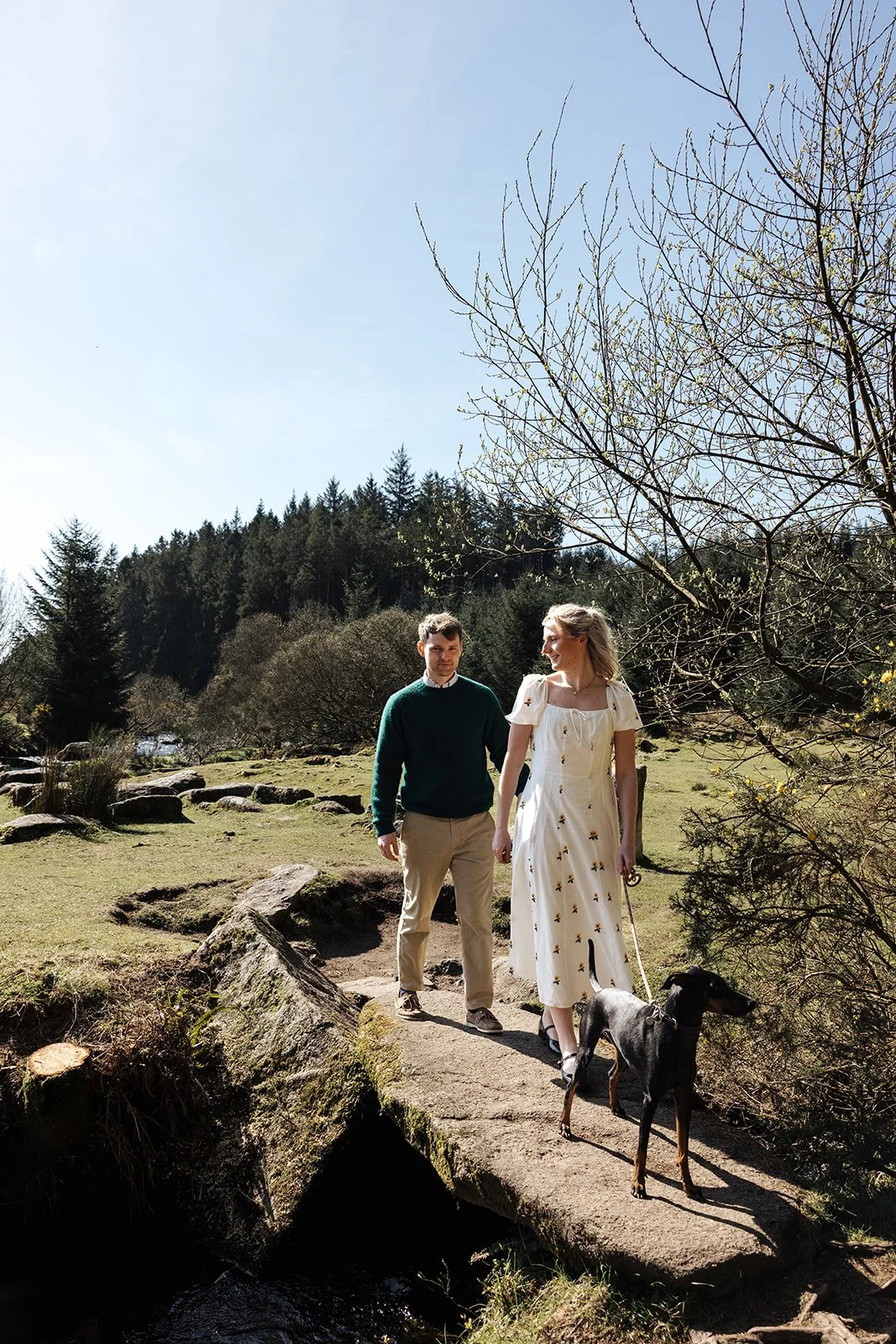 Engagement photoshoot in Dartmoor woodland with couple and their dog in a natural outdoor setting