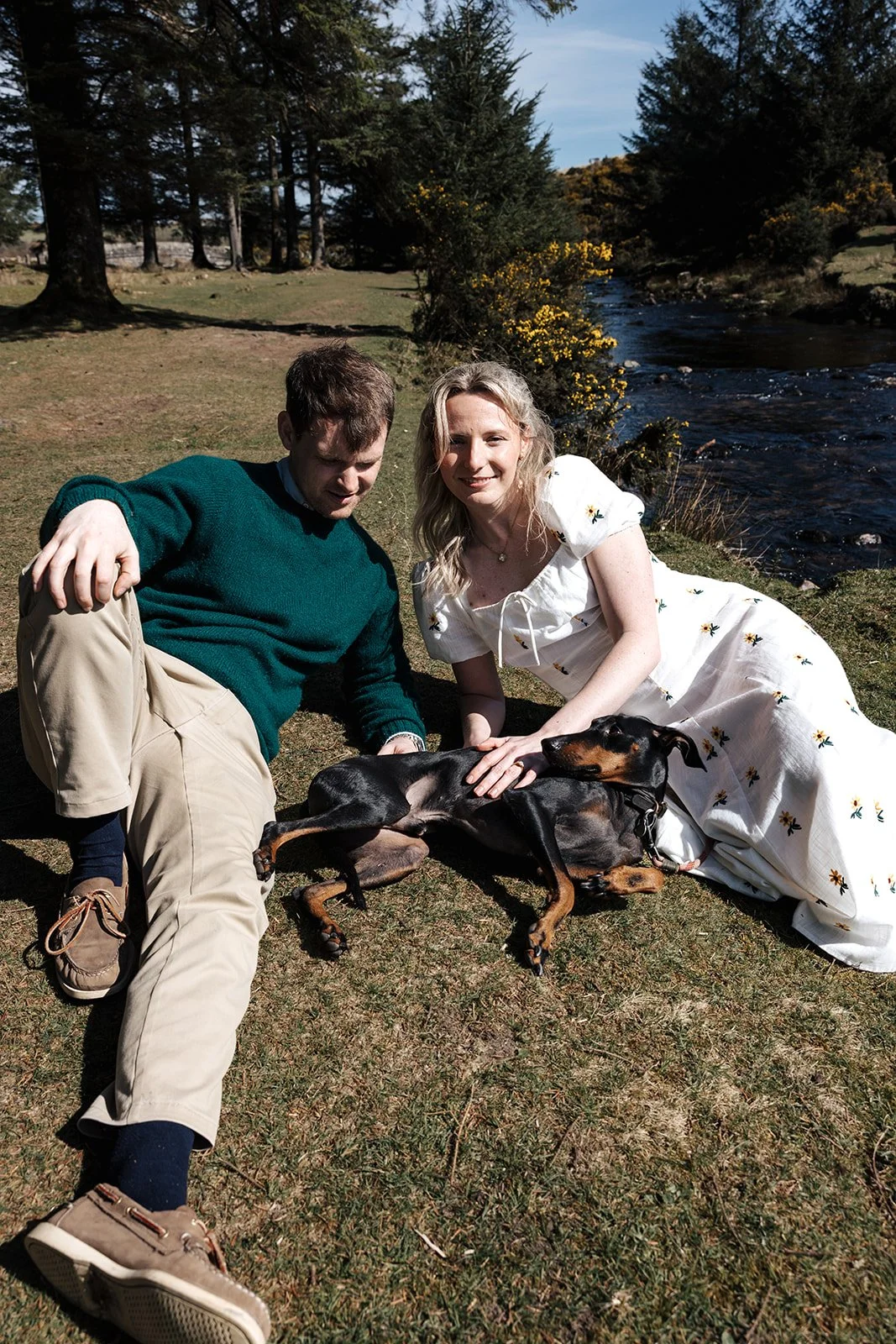 Engagement photoshoot in Dartmoor woodland with couple and their dog in a natural outdoor setting