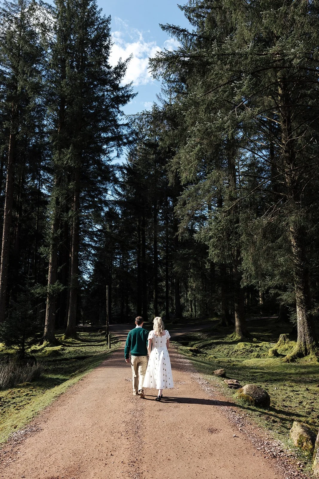 Engagement photoshoot in Dartmoor woodland with couple and their dog in a natural outdoor setting