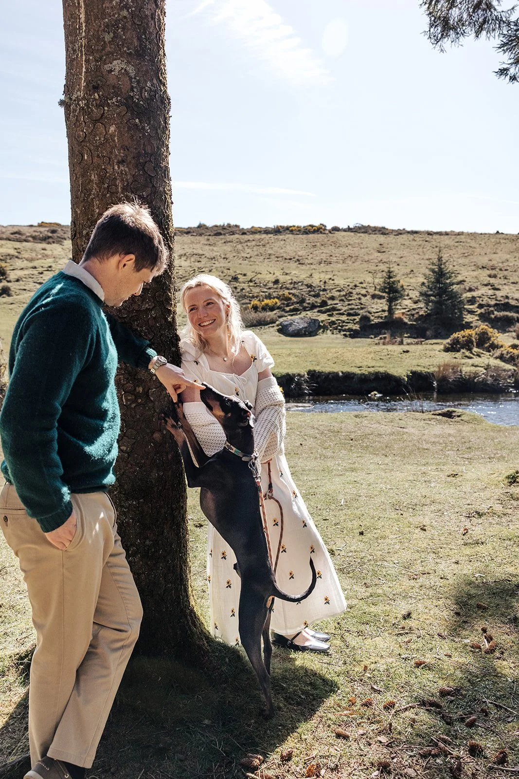 Engagement photoshoot in Dartmoor woodland with couple and their dog in a natural outdoor setting