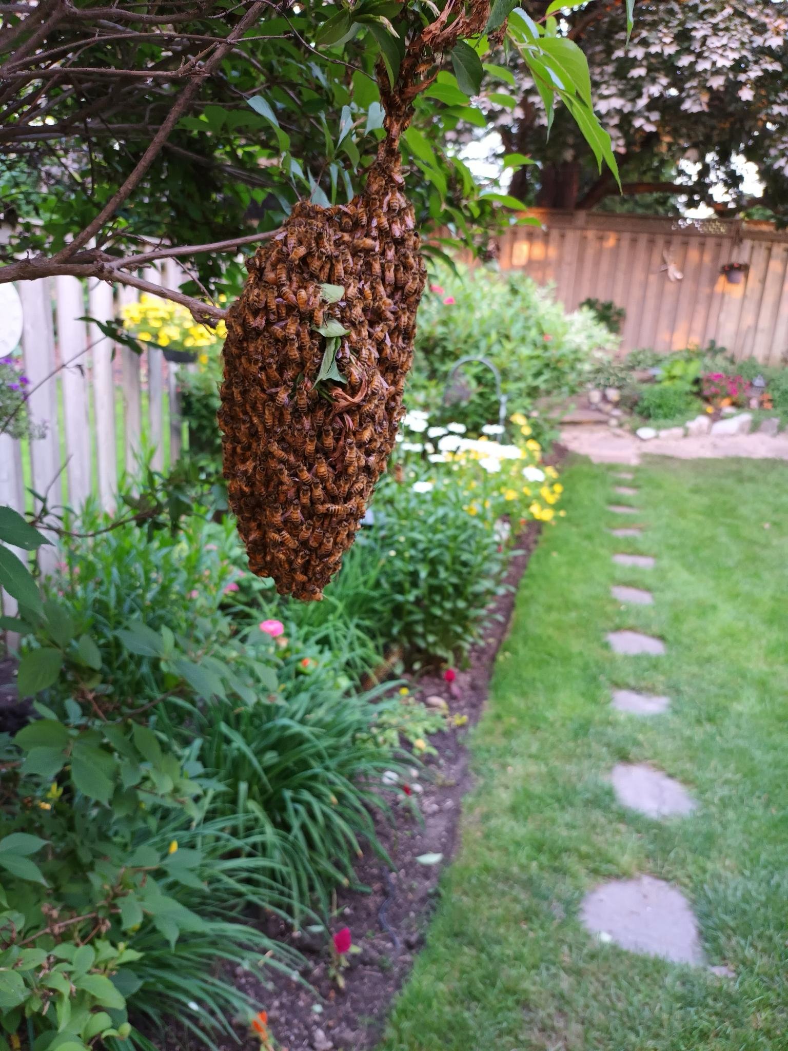 IMG_058B399A07FD-1.jpeg