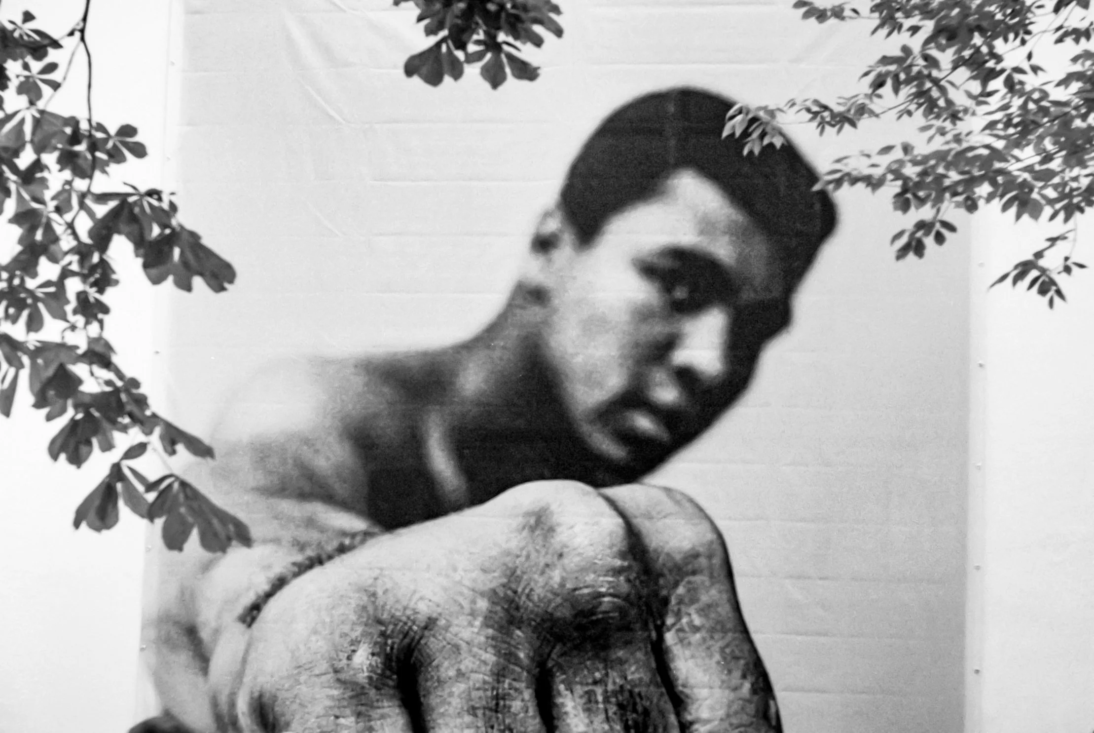 Muhammad Ali by MAGNUM photographer Thomas Hoepker 