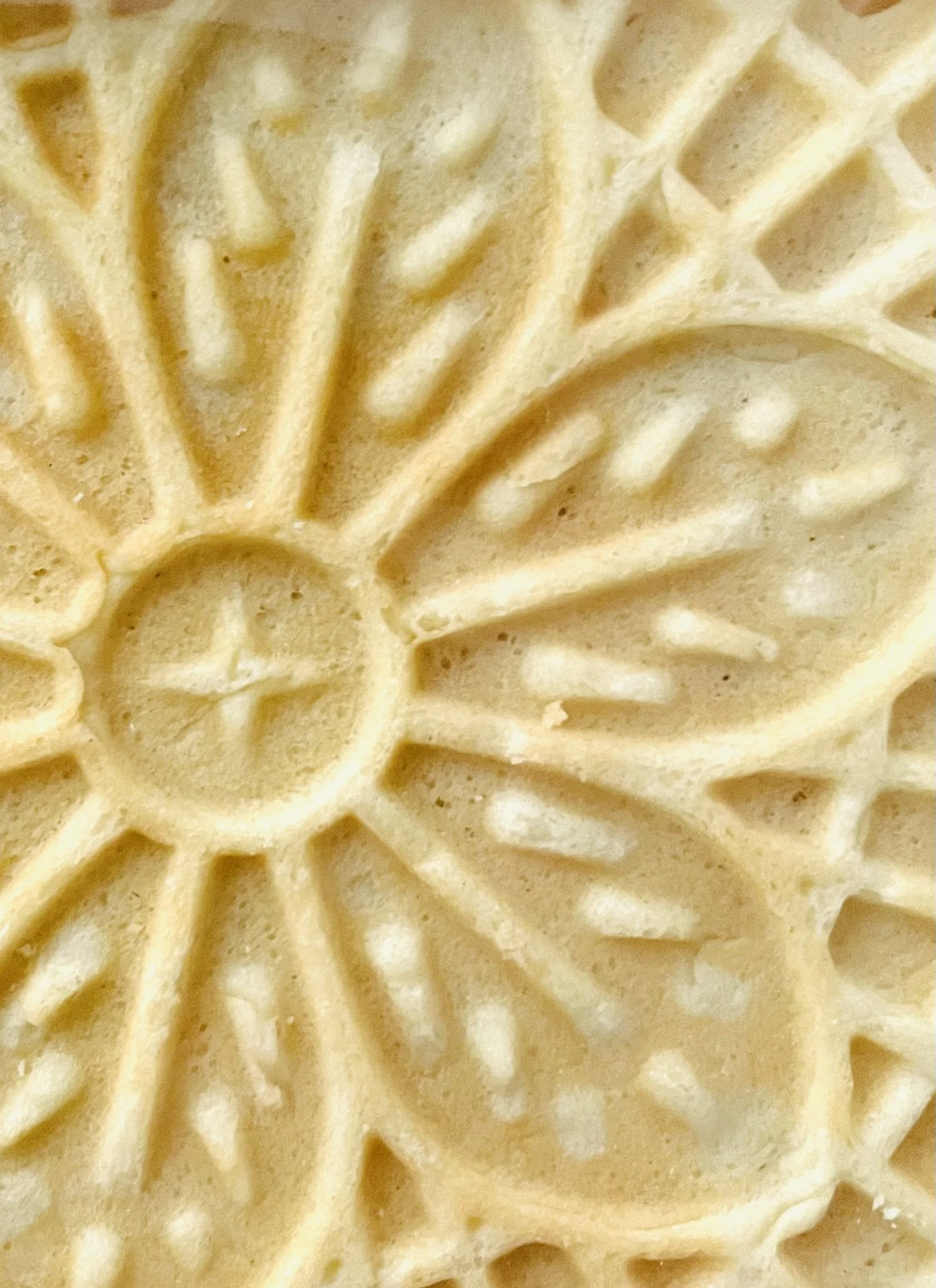 Vanilla Pizzelles_close up.jpeg