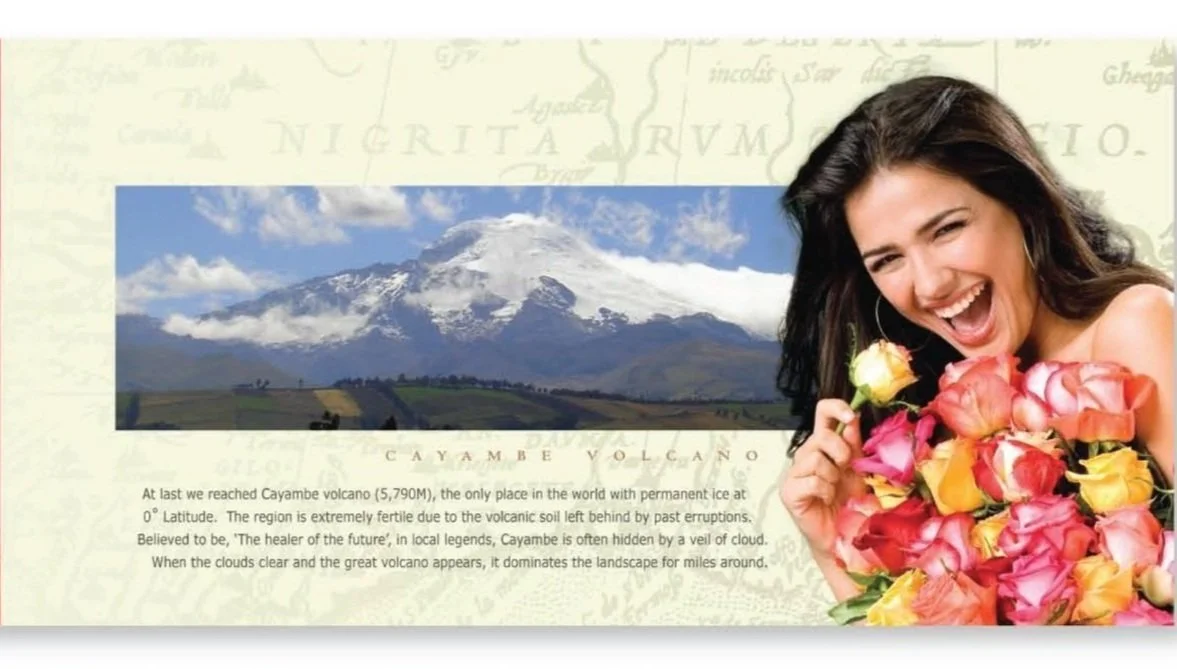 amorosa%252Bpages-07.jpg