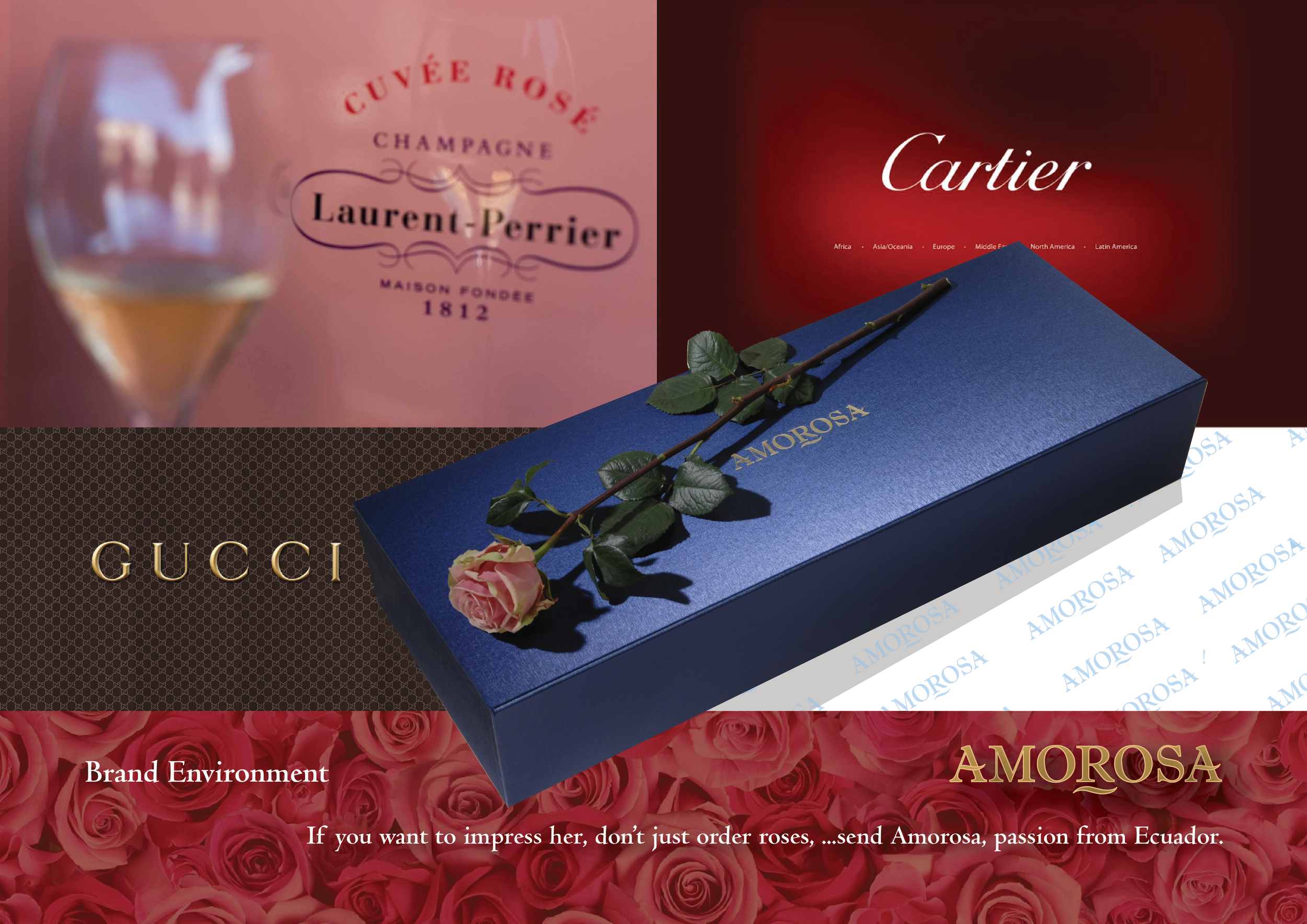 Amorosa 3. Design-03.png