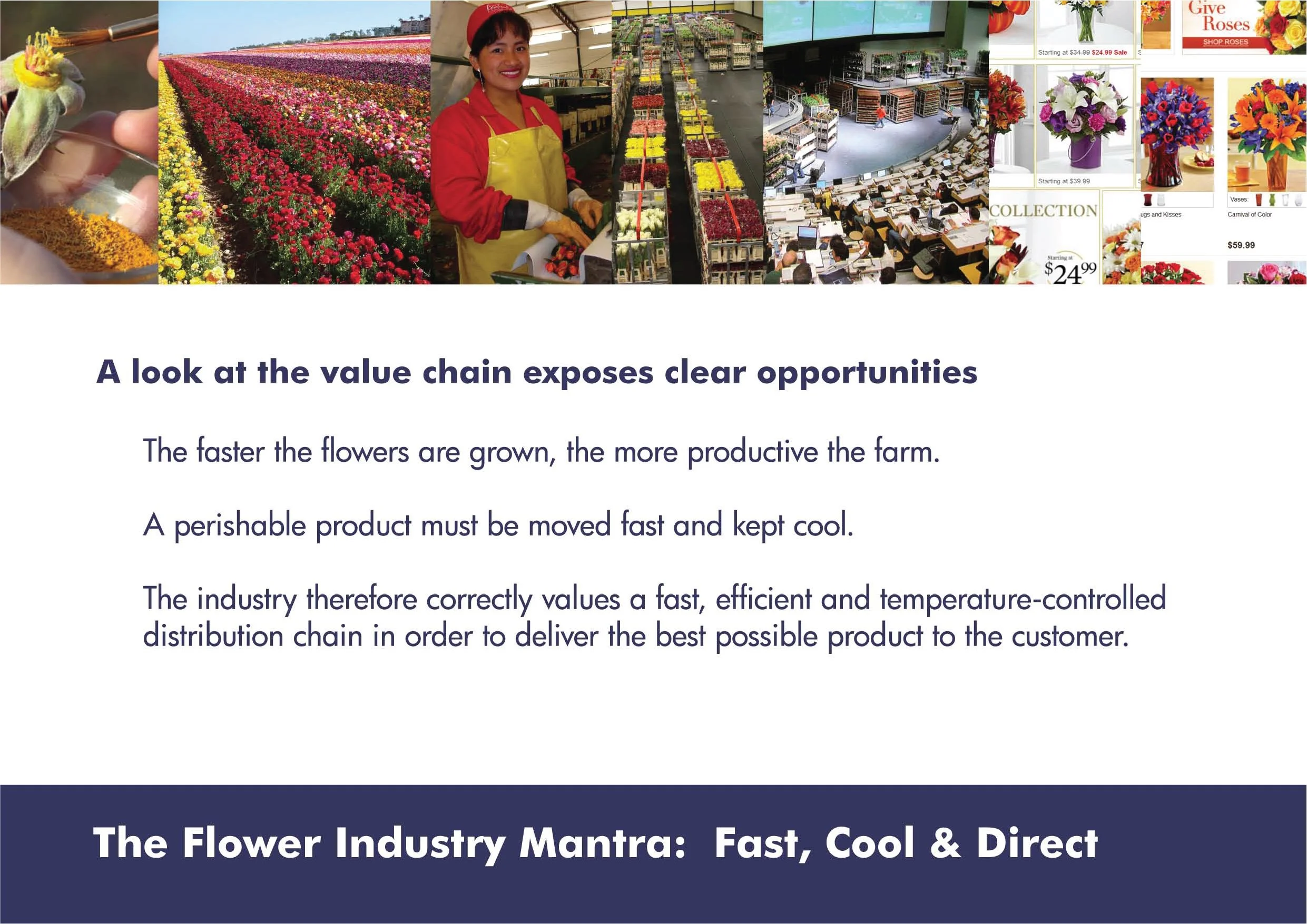 Strategy summary-05.jpg