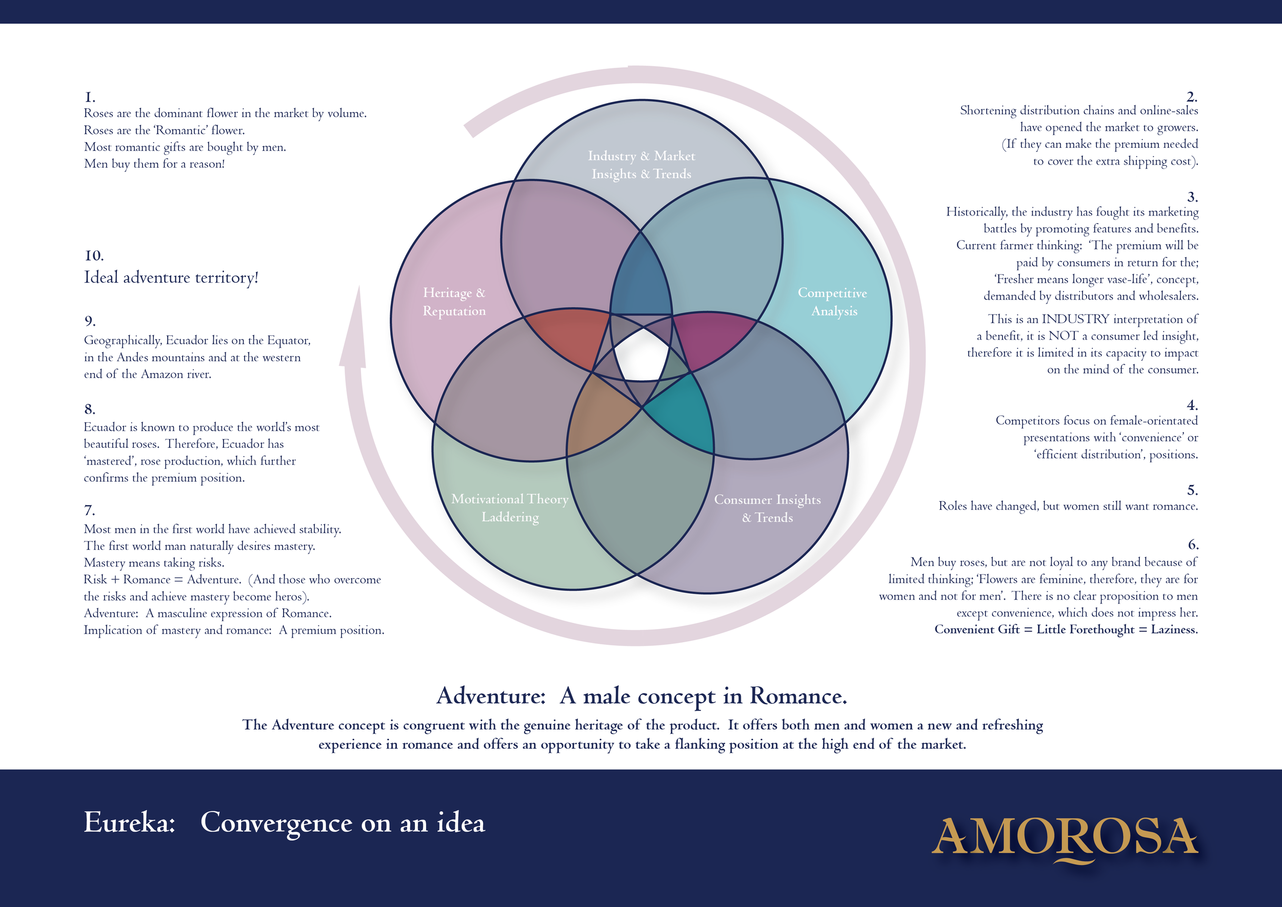 Amorosa 2. Insights-03.png