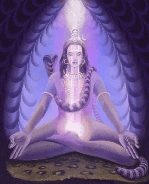 Shiva in the Light.gif
