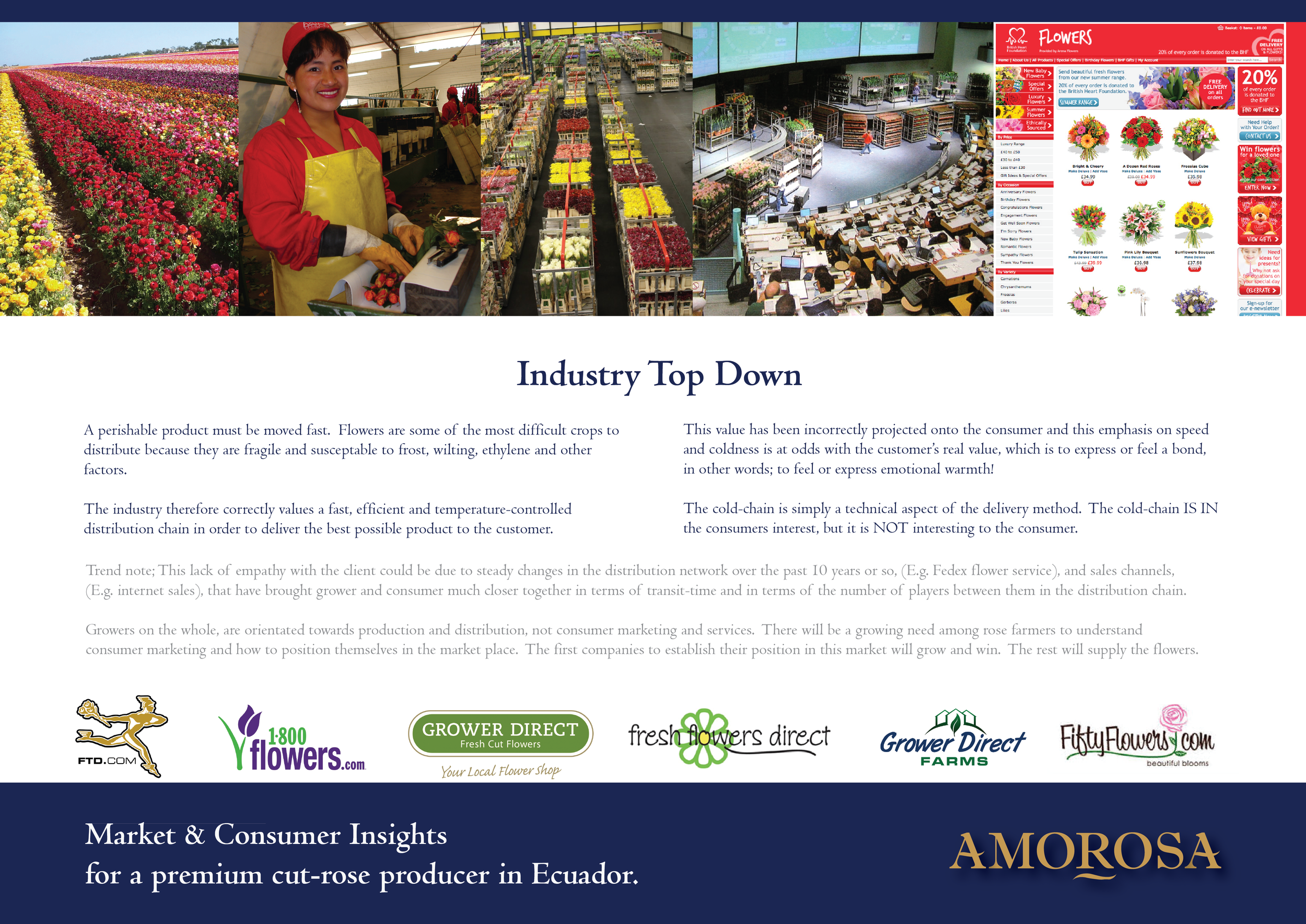 Amorosa 1. Market Research-01.png