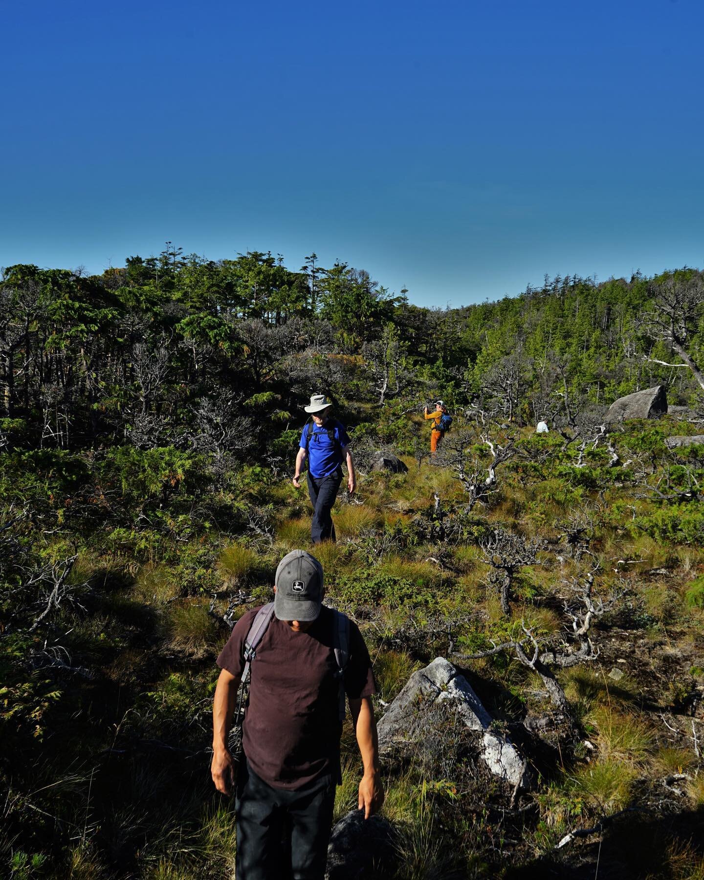 Depending on your group, as our tours are catered to the interests of the group, you may want to go on a hiking adventure in the wail Haangs backcountry. 

One thing to note is there are very few established trails, and hikes can be physically demand