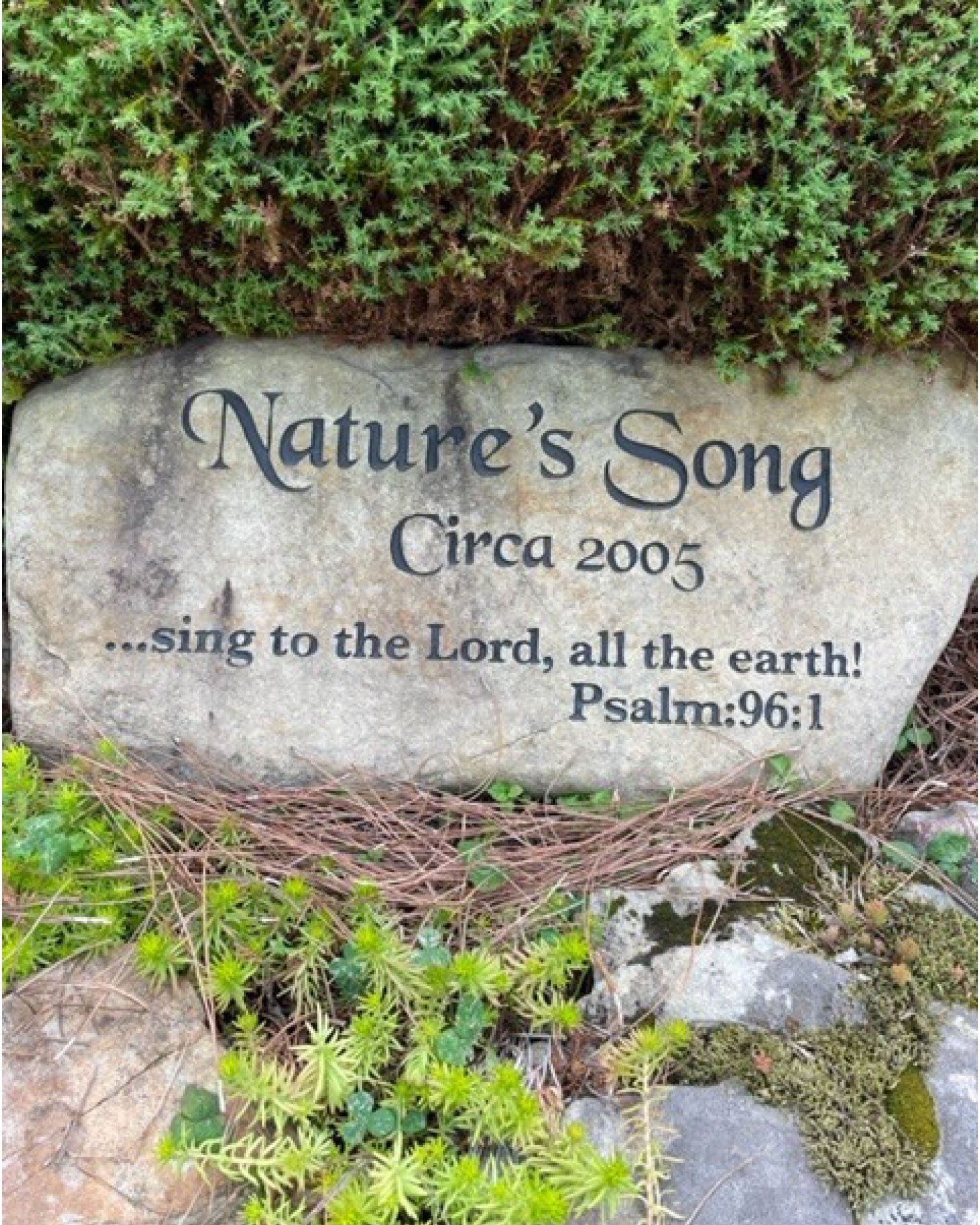 Natures-Song1.jpg