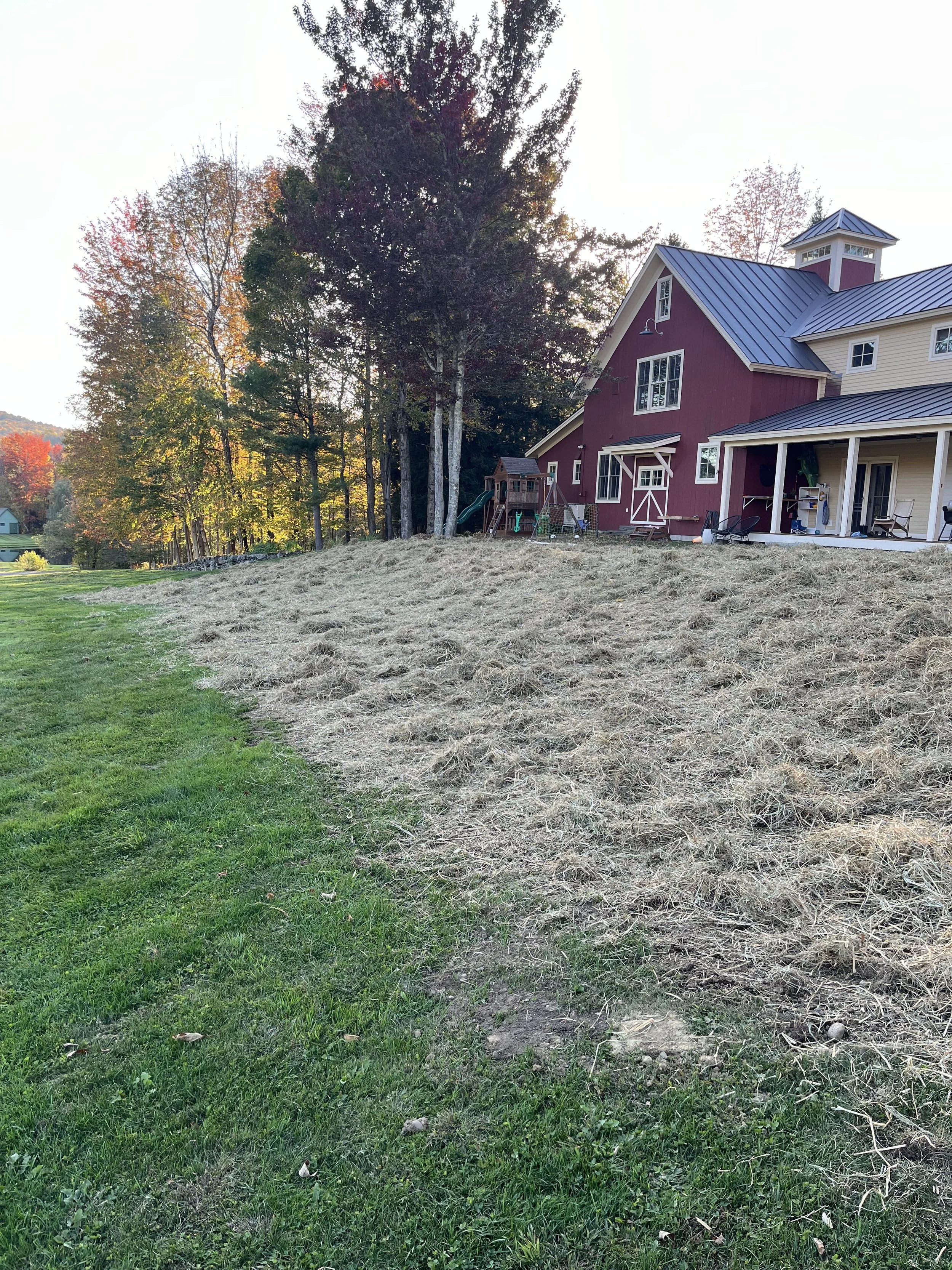 A backyard scene with a grassy lawn transitioning to a patch of dry straw-like grass, and a large red barn-style house with a metal roof, trees in the background, and outdoor furniture on a covered porch.
