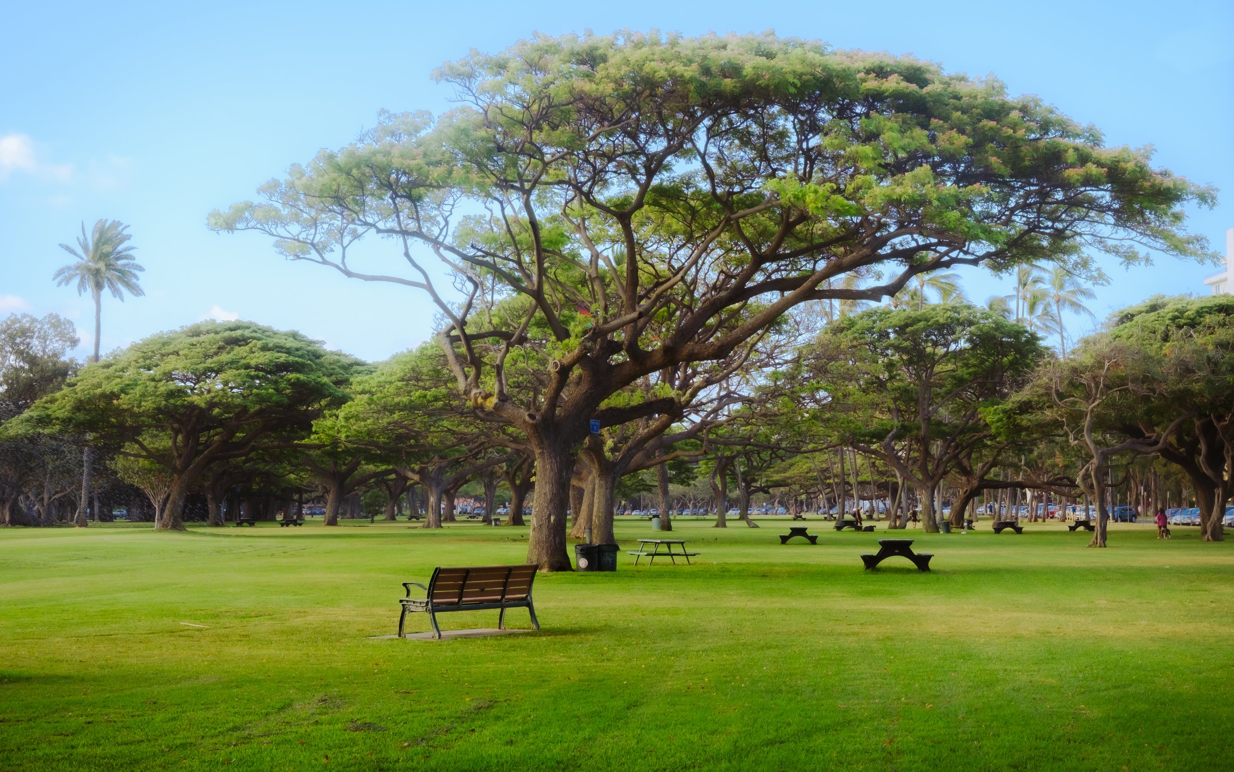 DSCF5614.jpg