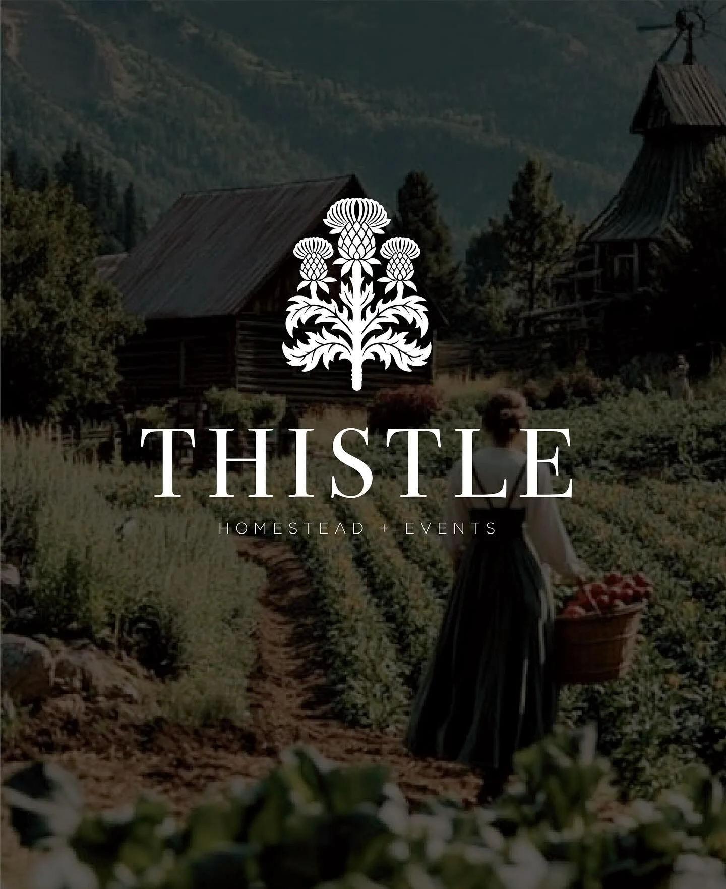 Just wrapped a brand for Thistle Homestead + Events &mdash; and honestly, I kinda wanna move in. There&rsquo;s something about working with farmers that makes my job feel so rewarding - sometimes I get to make pretty stuff.

This one&rsquo;s all abou