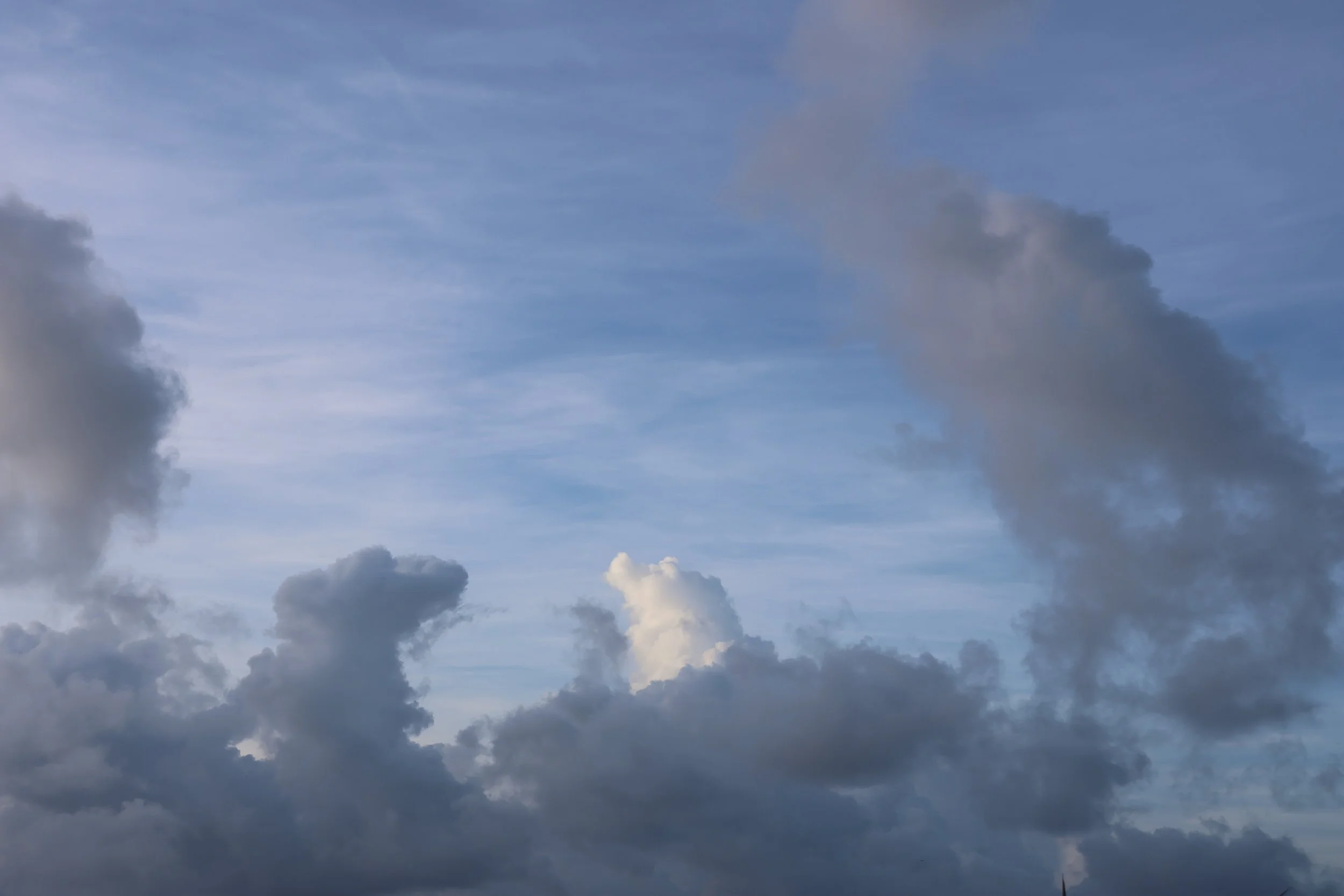 SELECTS_BELIZE_MO0A3075.JPG