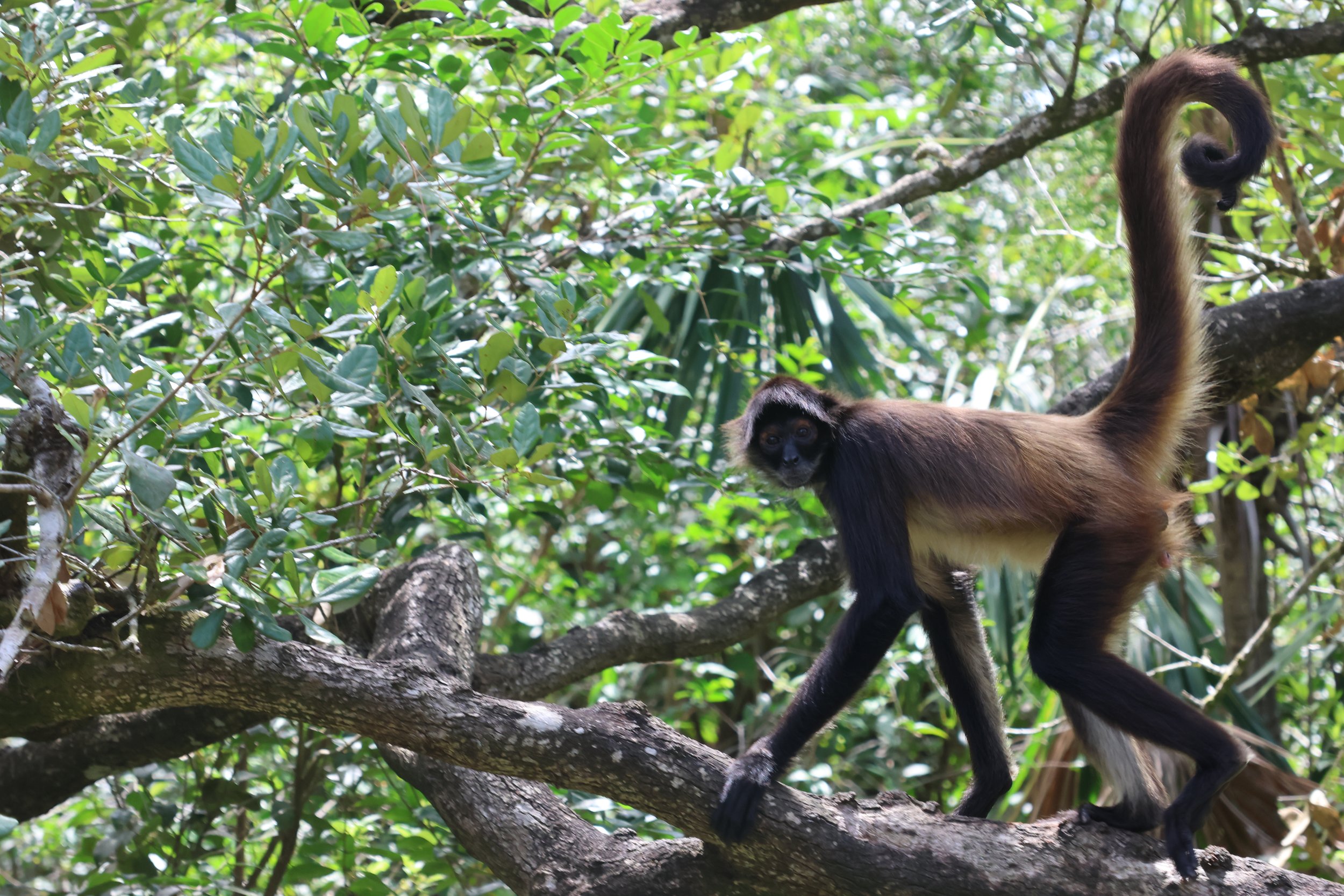 SELECTS_BELIZE_MO0A1777.JPG
