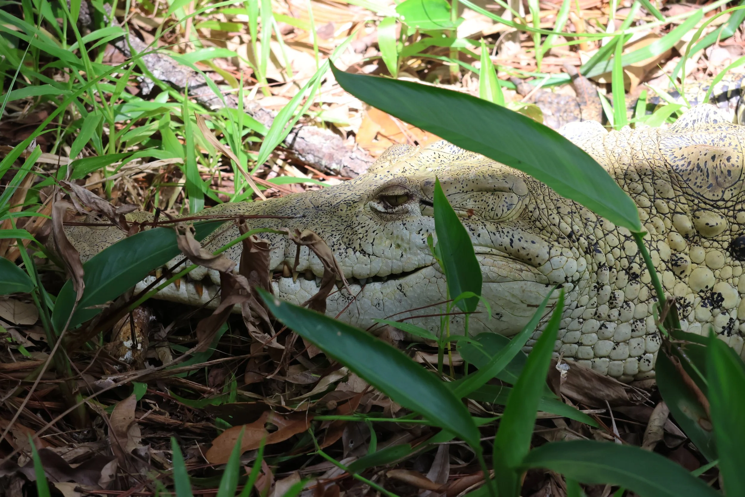 SELECTS_BELIZE_MO0A1906.JPG