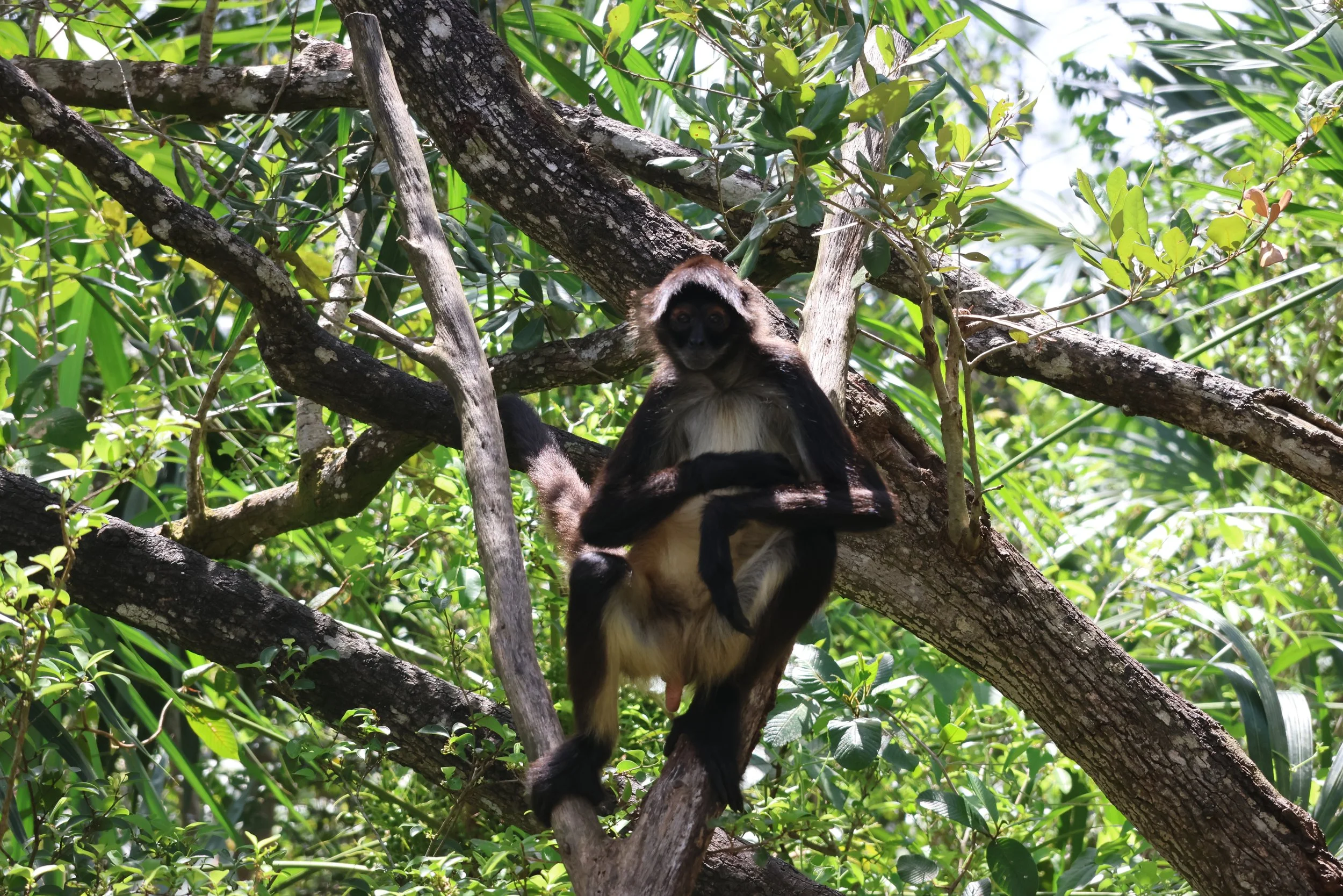 SELECTS_BELIZE_MO0A1794.JPG