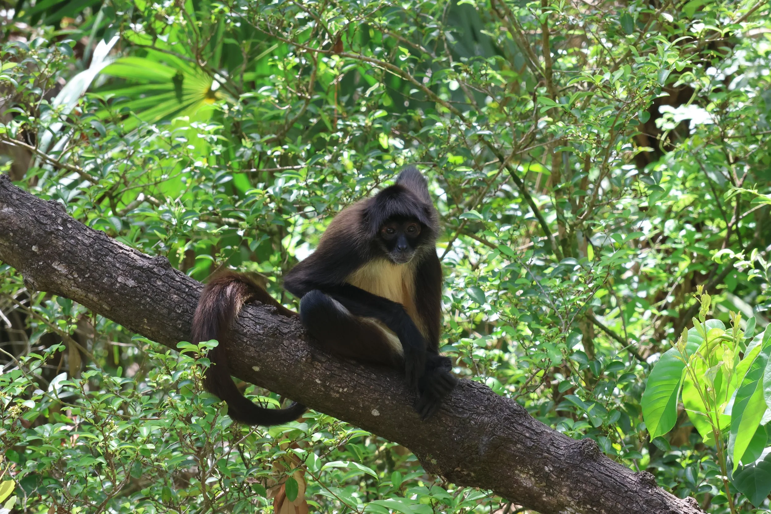 SELECTS_BELIZE_MO0A1762.JPG