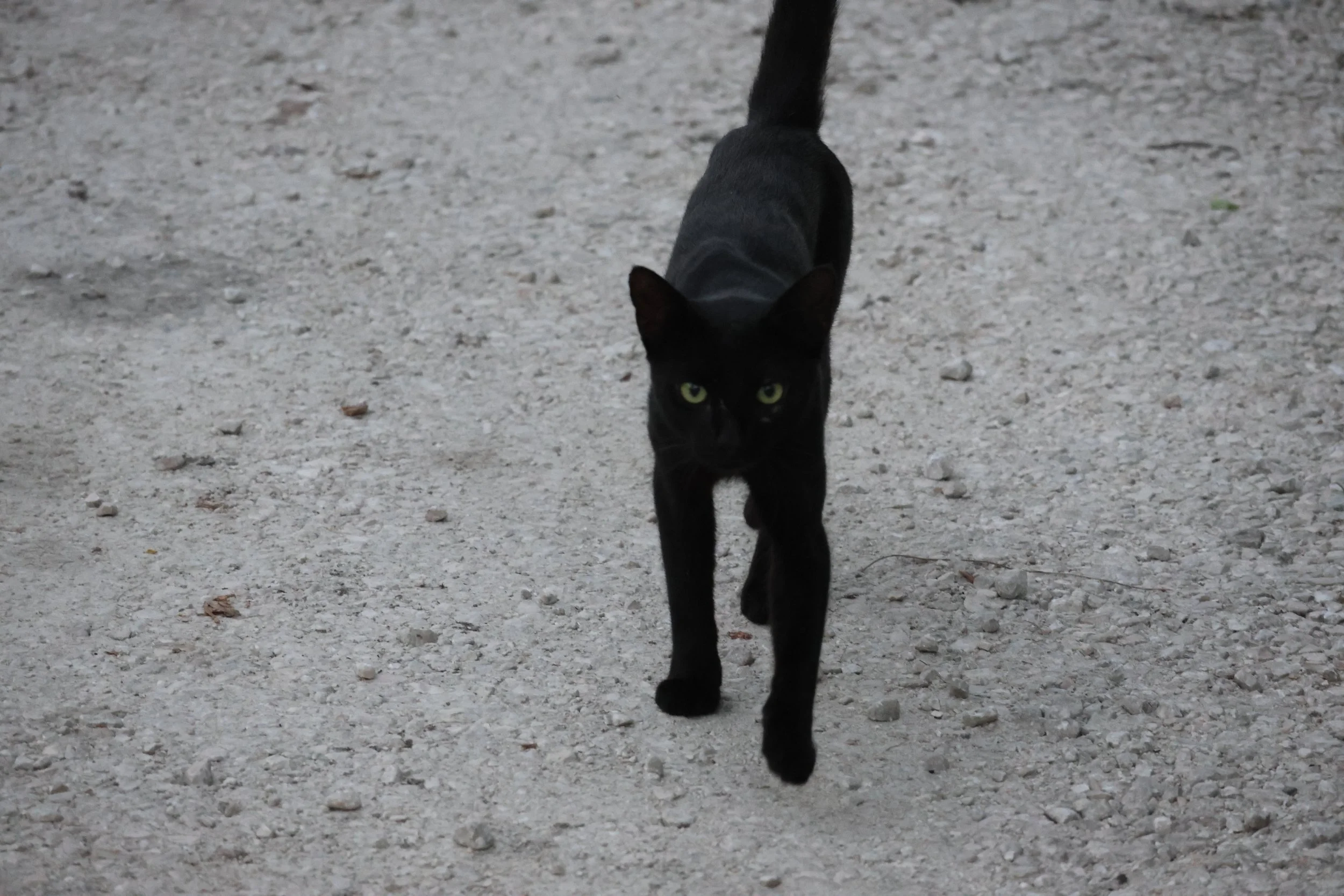 SELECTS_BELIZE_MO0A2652.JPG
