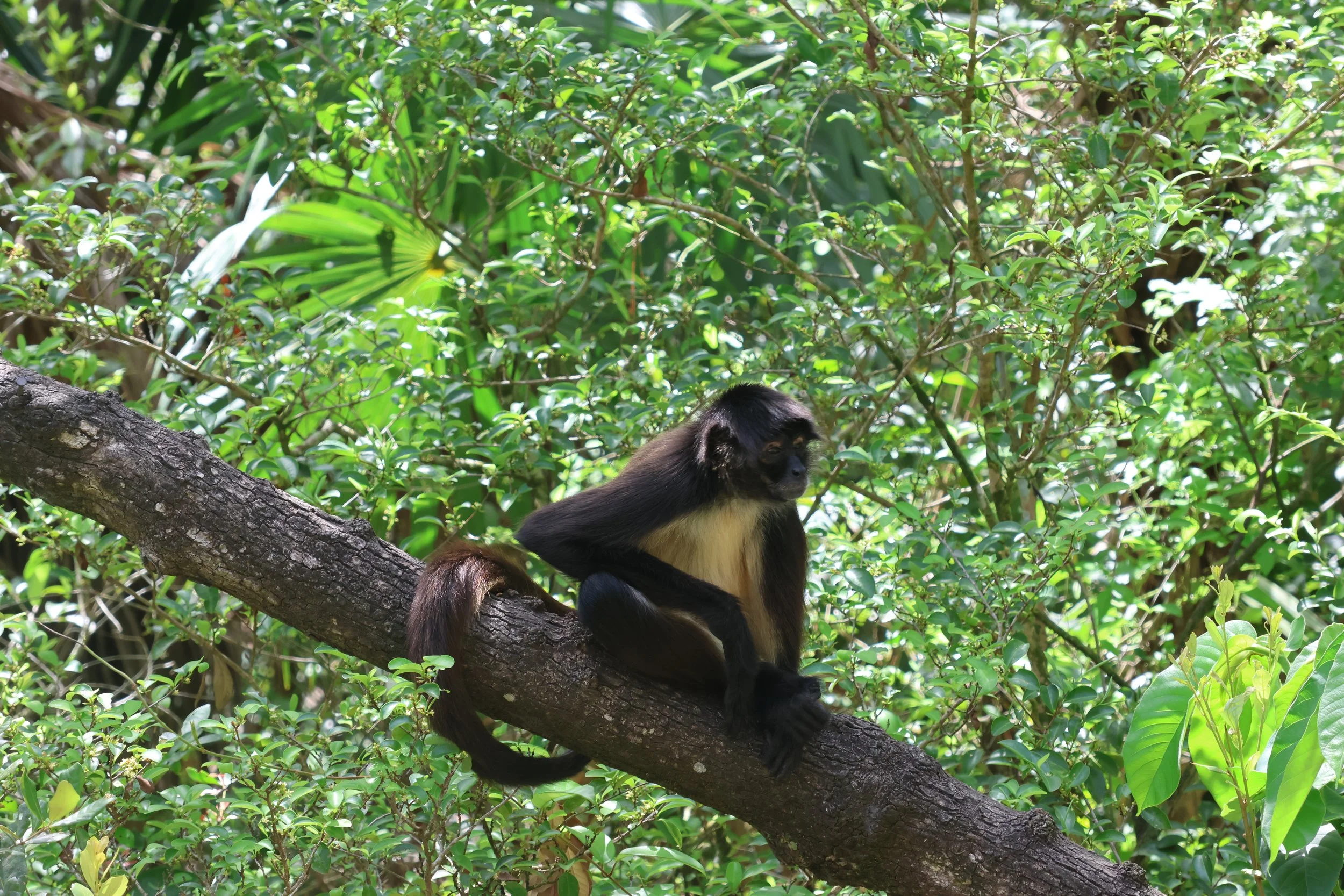 SELECTS_BELIZE_MO0A1761.JPG