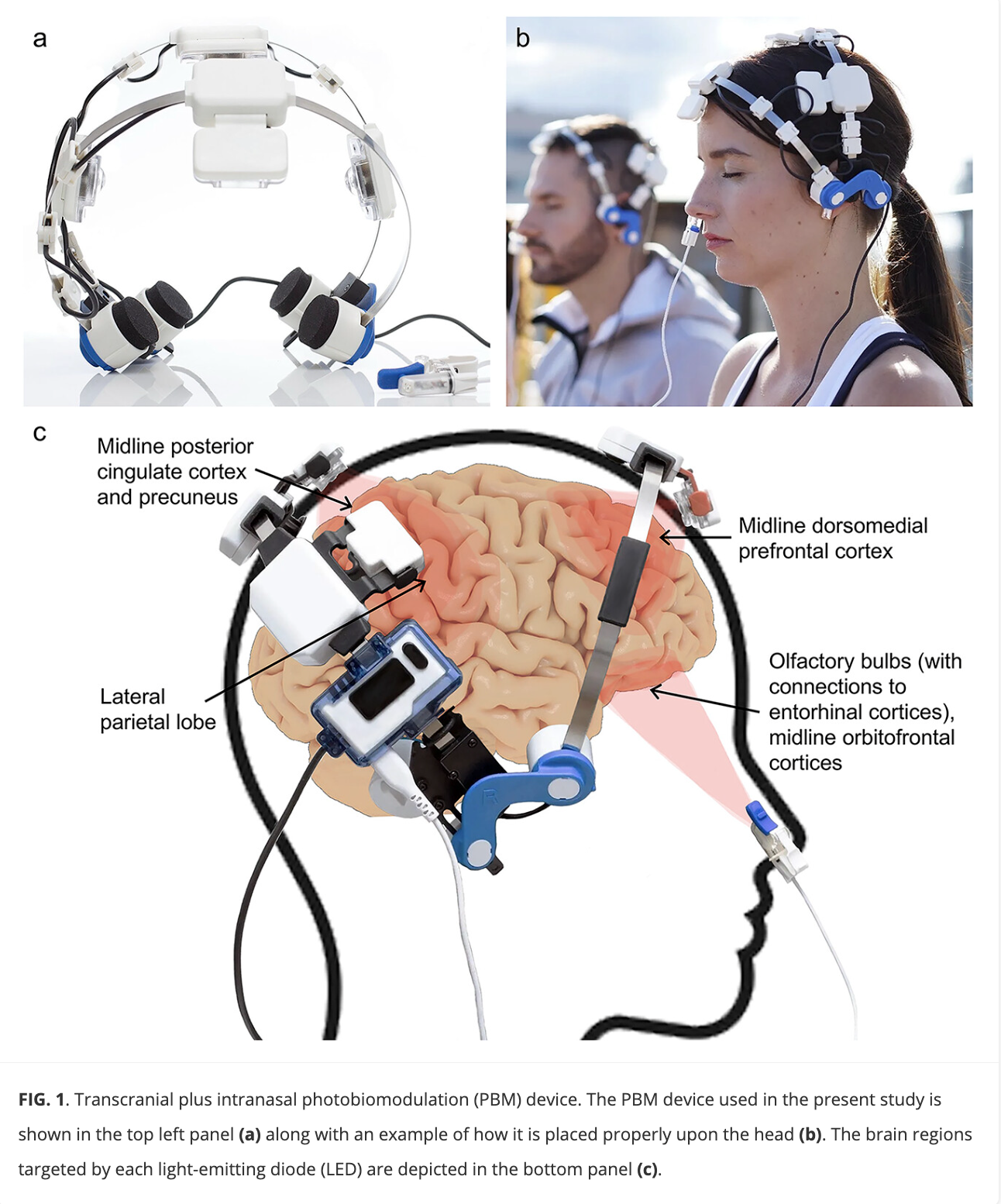 Light Therapy Promotes Neurological Resilience in College Football Players