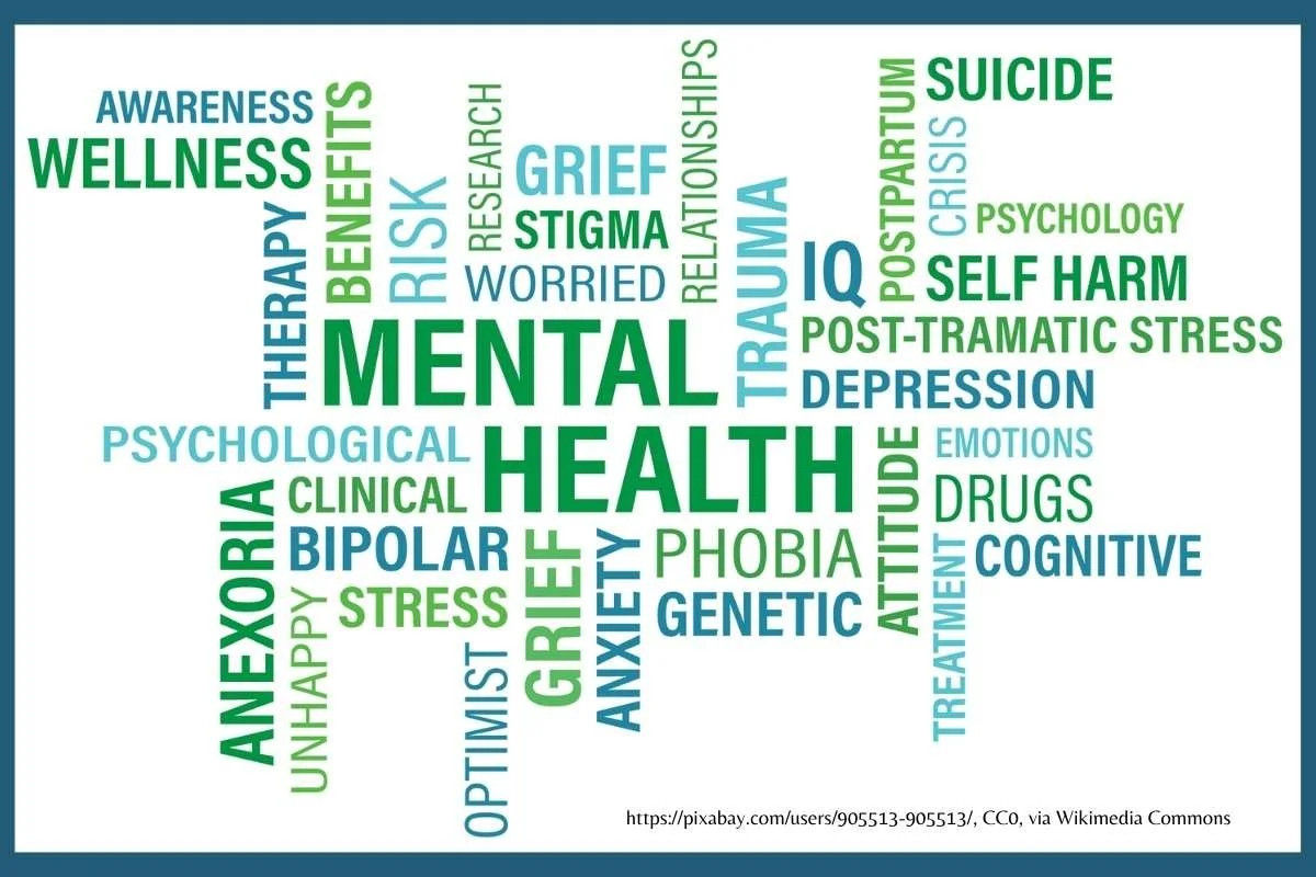 a word cloud with Mental Health at the center