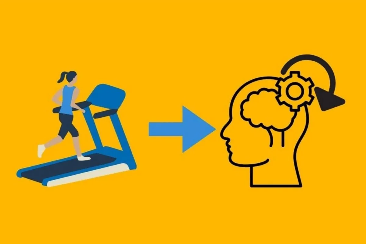 One exercise session within 14 days of concussion improves executive function immediately after