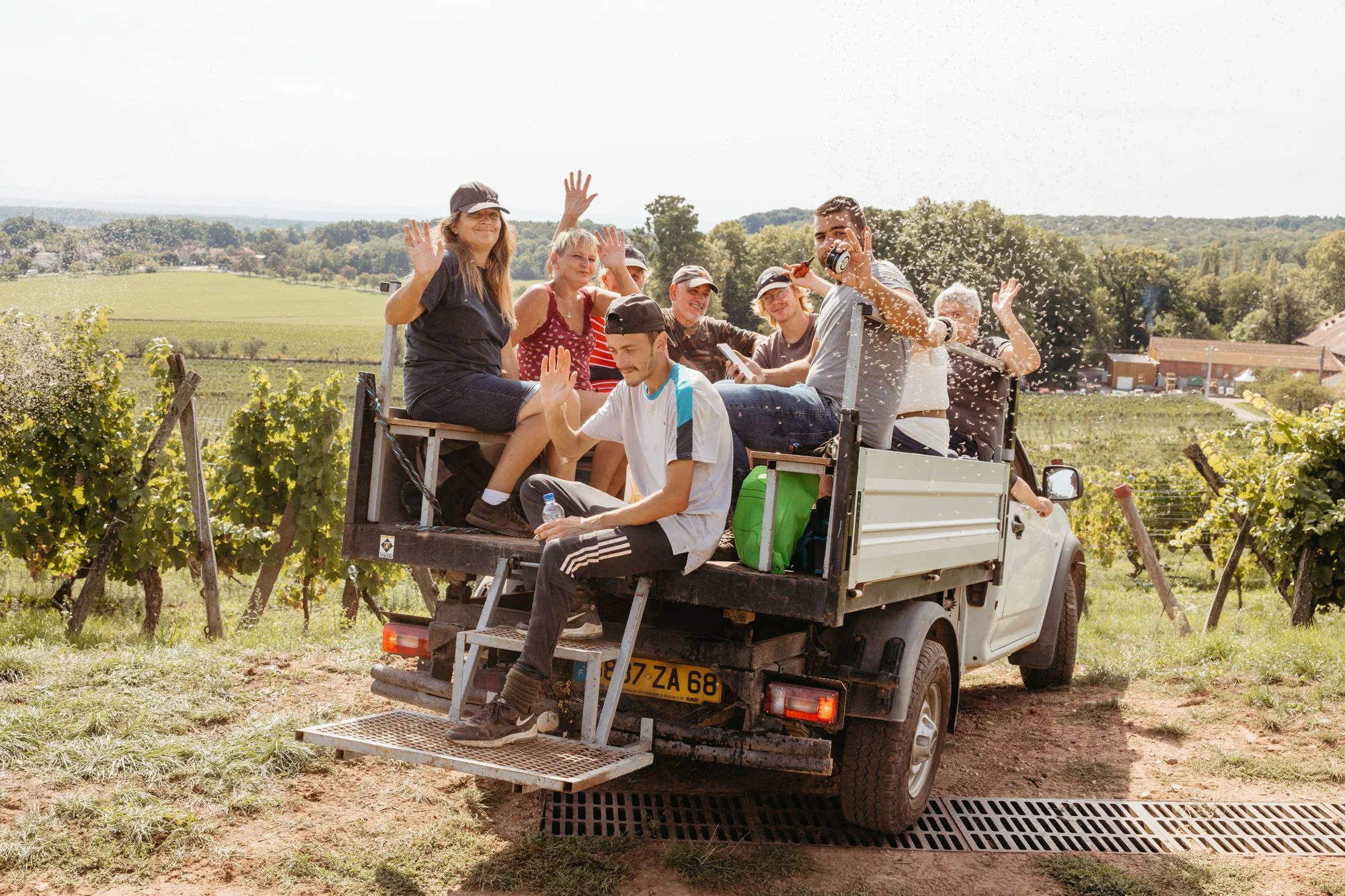 Rieslingernte im Chateau Ollwiller im Elsass - fotografiert von Jeannette Petri