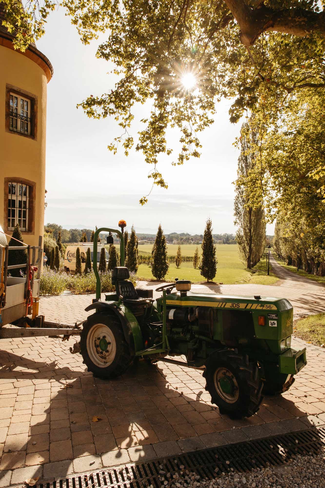 Rieslingernte im Chateau Ollwiller im Elsass - fotografiert von Jeannette Petri