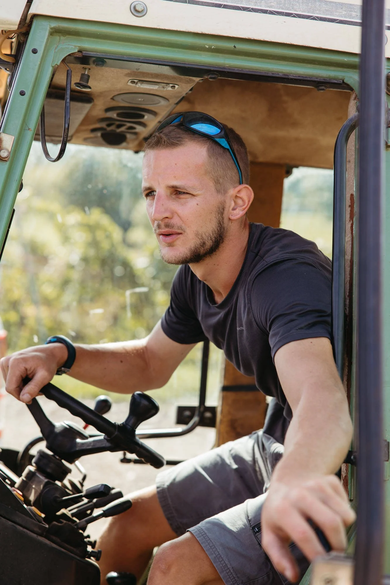 Rieslingernte im Chateau Ollwiller im Elsass - fotografiert von Jeannette Petri