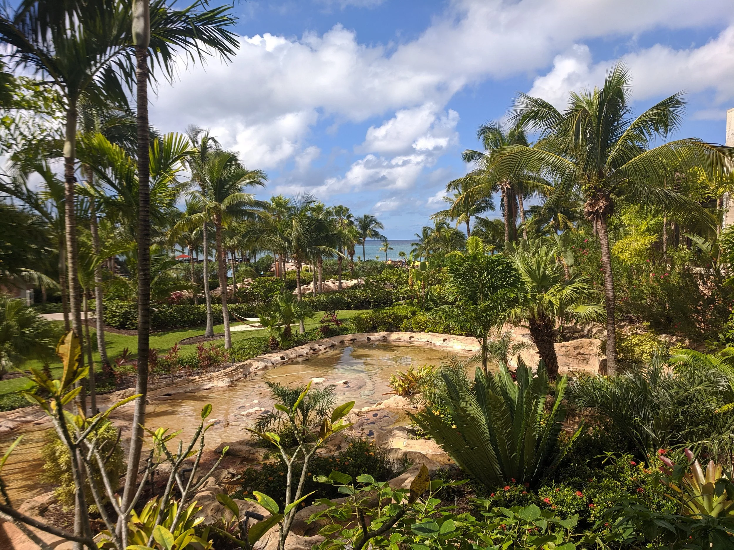 The Bahamas