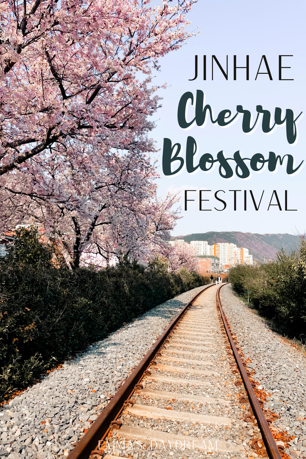 Jinhae Cherry Blossom Festival 