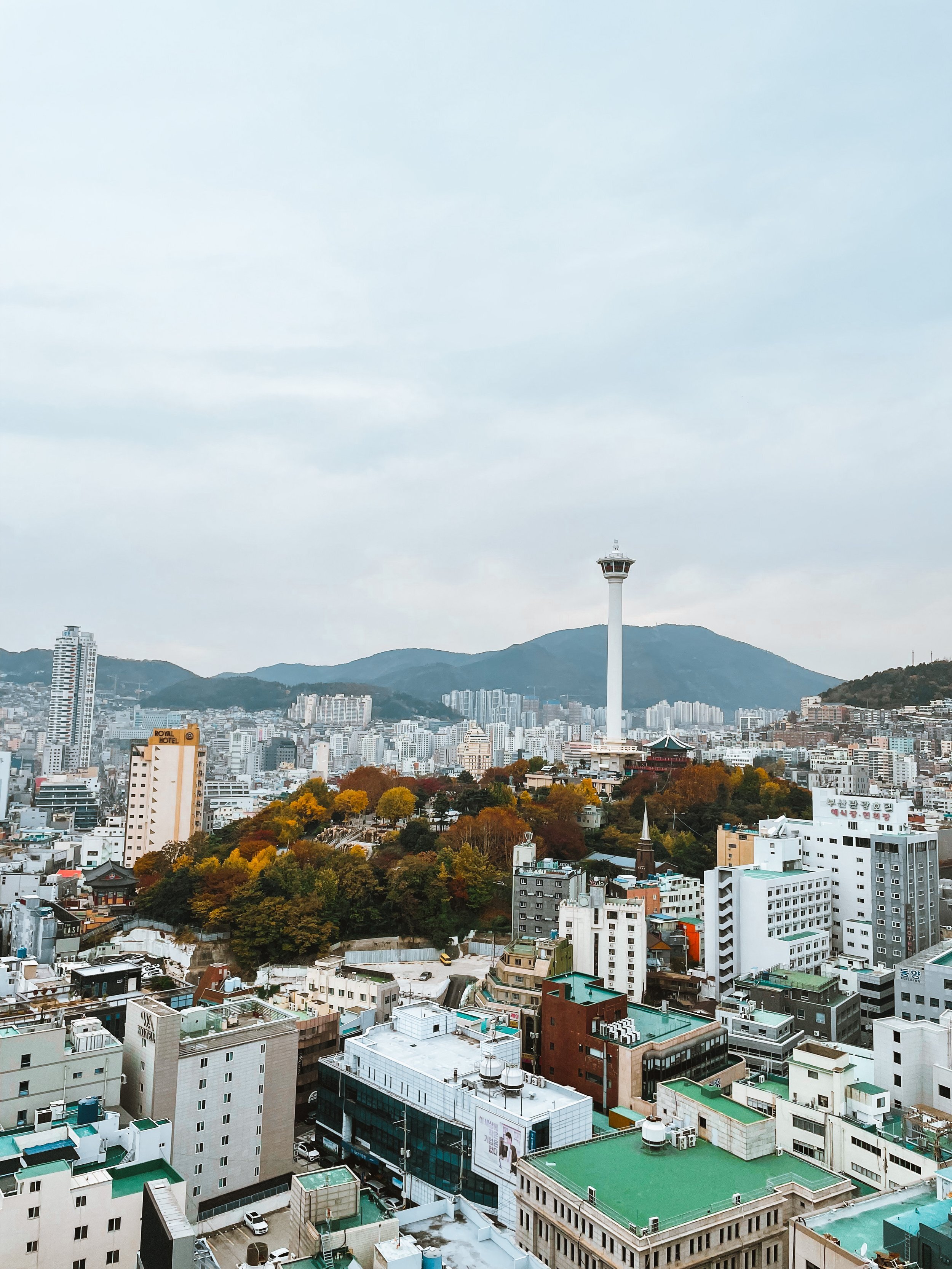 Top things to do in Busan — Emma's Daydream
