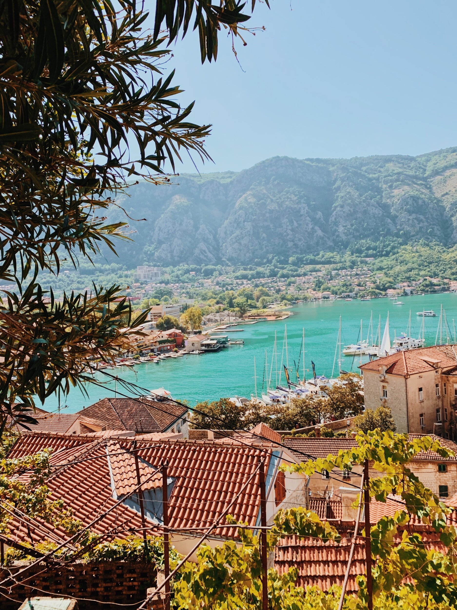 24 Hours in Montenegro, Day trip to the Bay of Kotor, Dubrovnik day trip, one 1 day in Kotor, Montenegro 