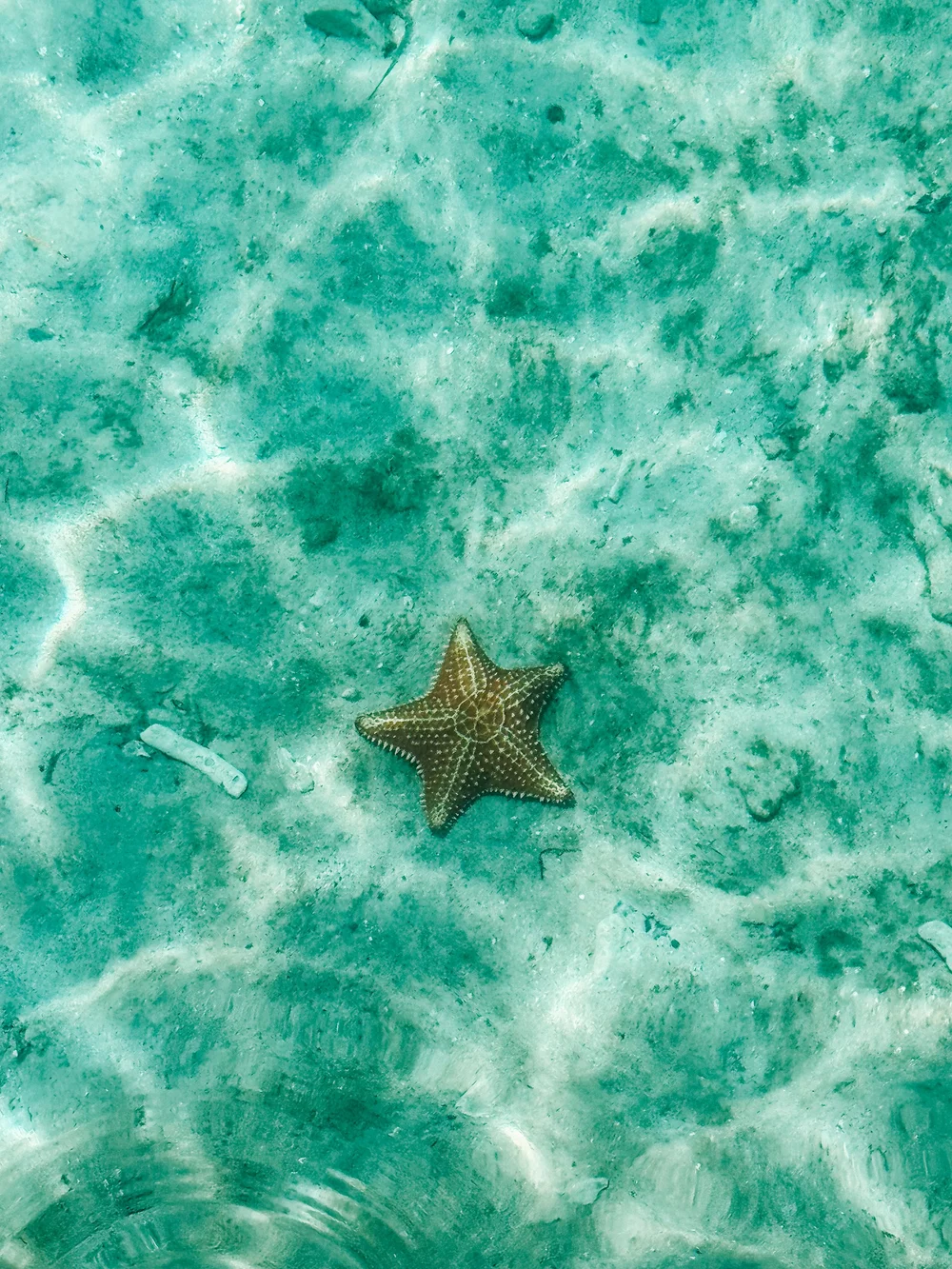 Central America Backpacking Trip