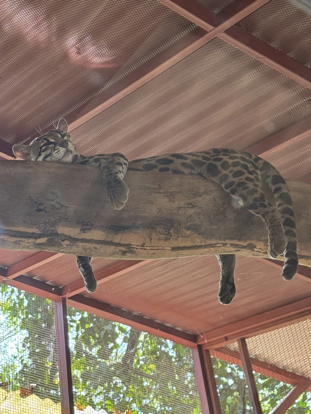 Central America Backpacking Trip