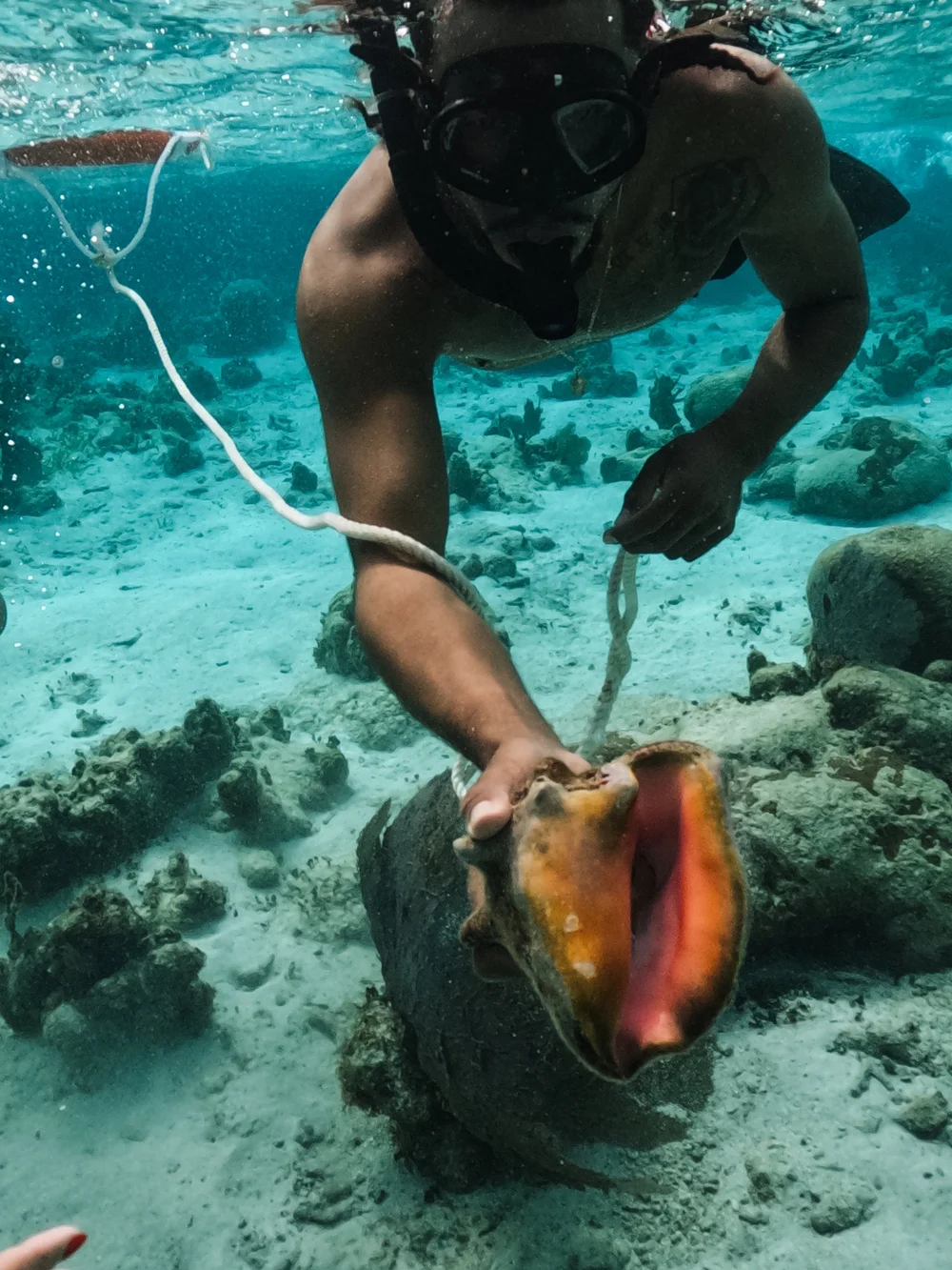 Things to do in Caye Caulker, Belize 