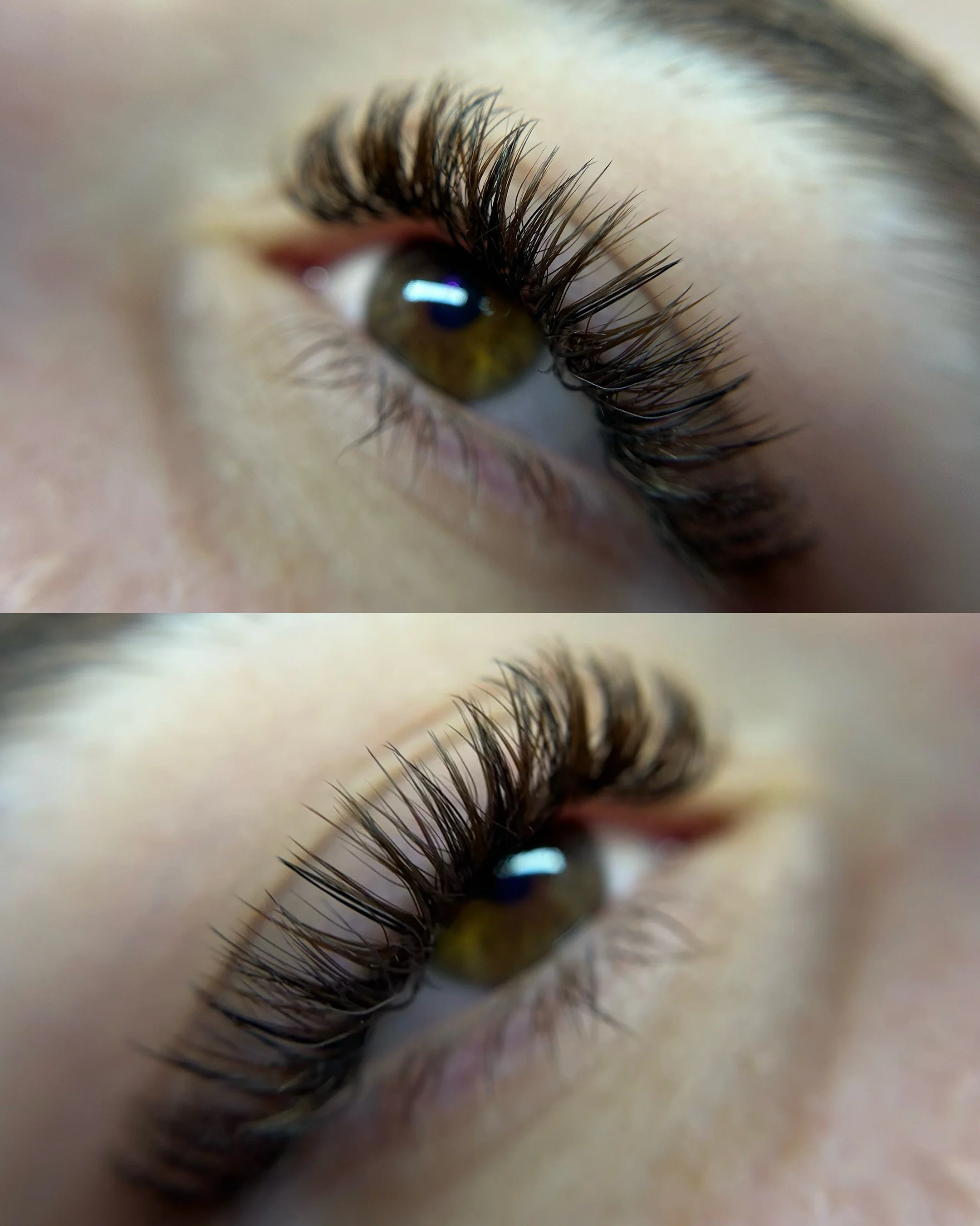 Brown + Black Lash Extensions