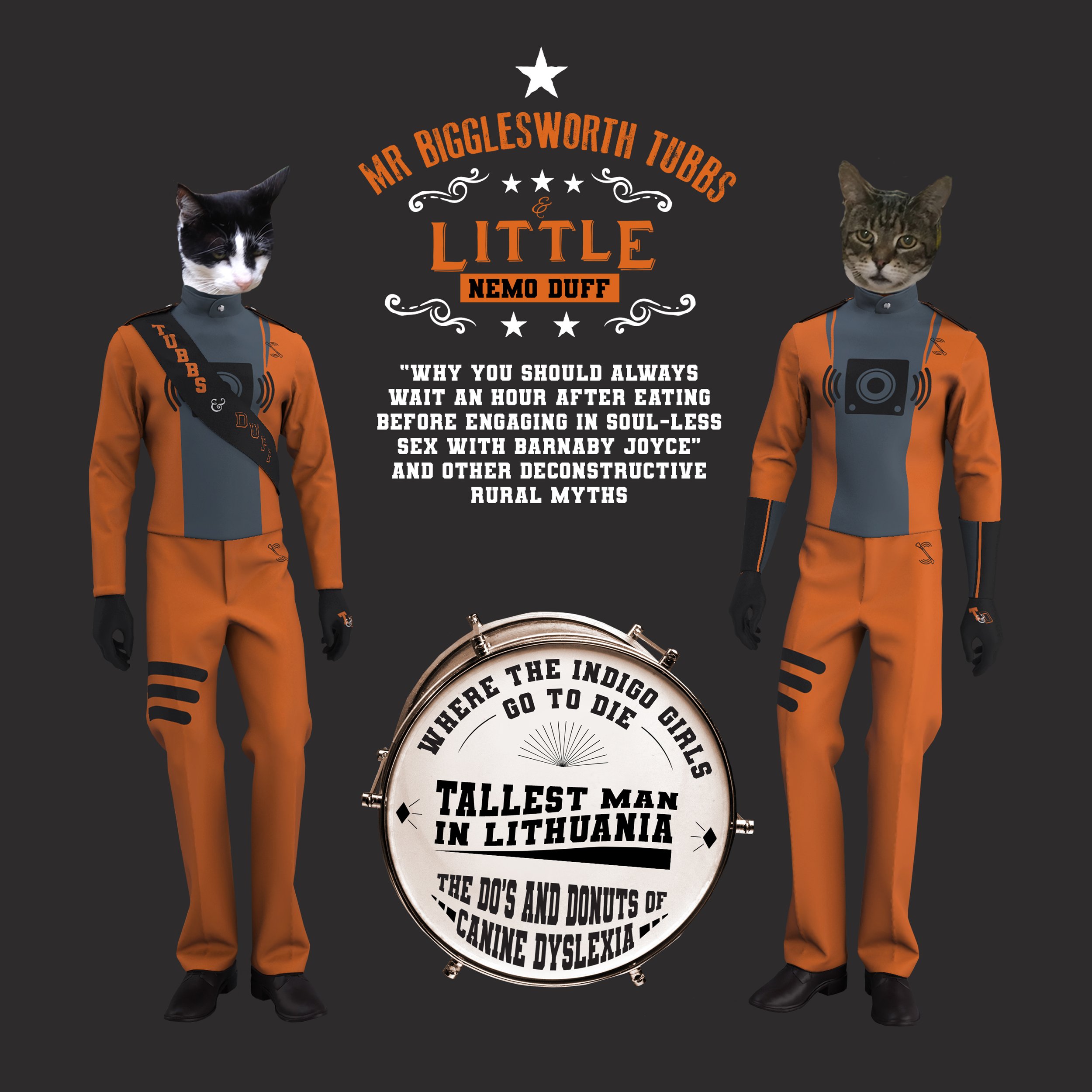 TSM cats.jpg