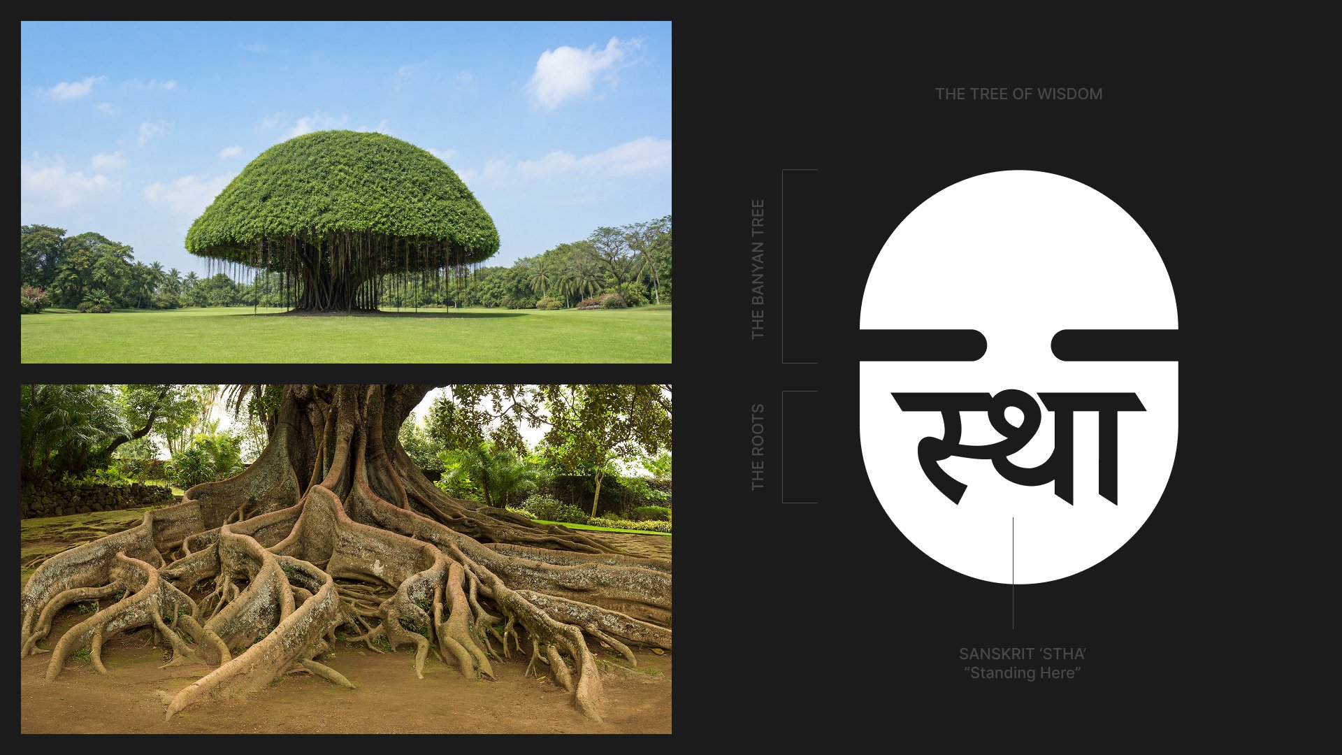 Sthanika Green 10.jpg