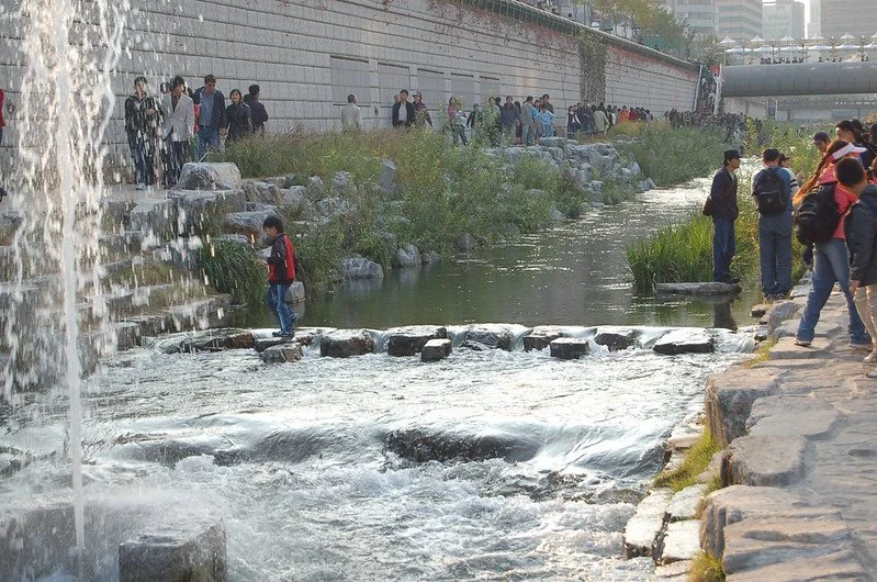 Healing Urban Rivers