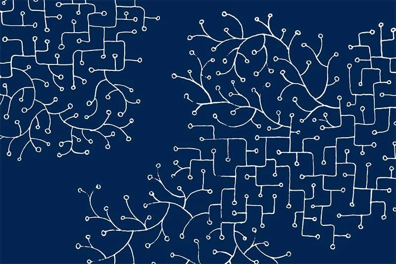 Cognition, germane