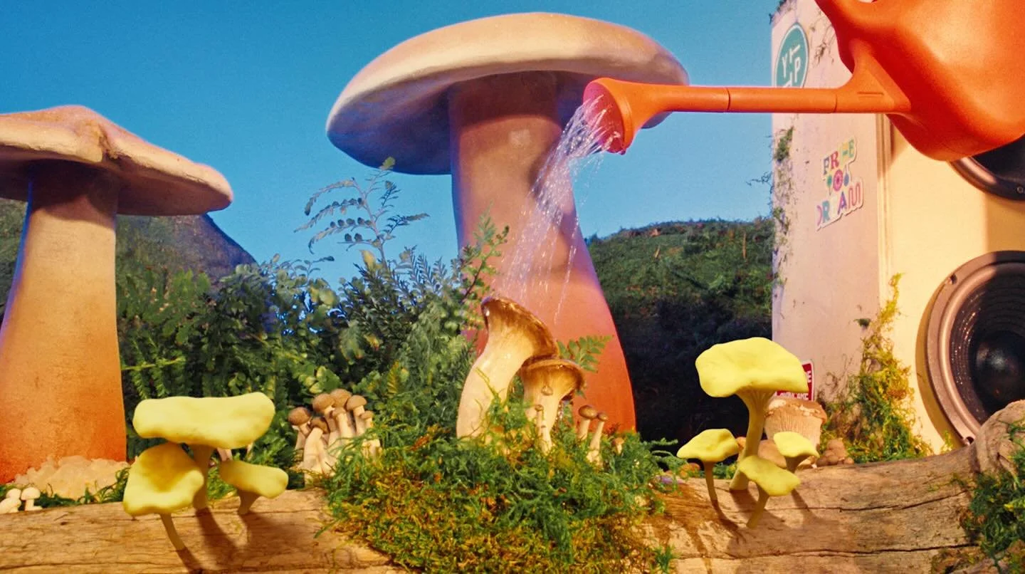 Swipe to see my set renders, stills and BTS from the @youthtothepeople Adaptogen campaign I production designed this year🚰🍄&zwj;🟫 🌸🌿
Big thank you to my art team !!🤍

Directed by @jordaanjames 
AD @derekjaeschke 
DP @cortokid 
Gaffer @litbydrip