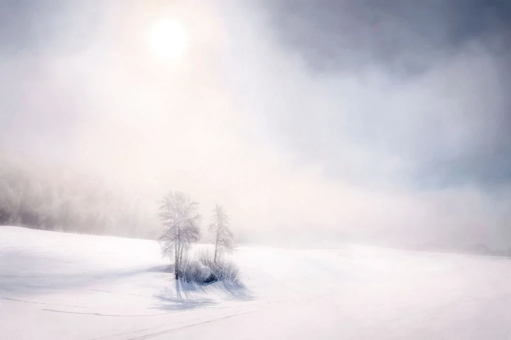 An image of a cold, foggy, snow covered landscape in the morning with the sun breaking through the fog over a clump of snow covered trees. The image is mainly blue and white with a pale peach colored haze around the sun.